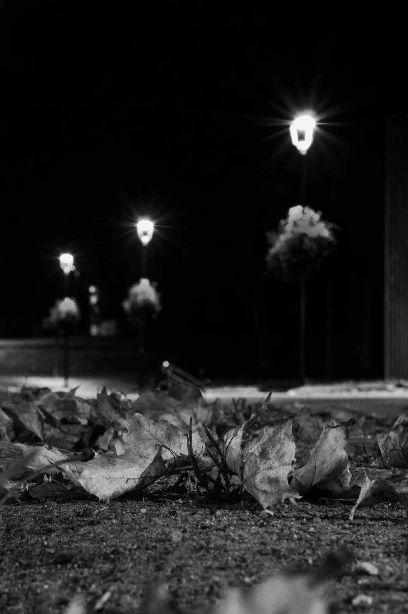 Tamron AF 28-75mm F2.8 XR Di LD Aspherical (IF) sample photo. 29865260495.jpg photography