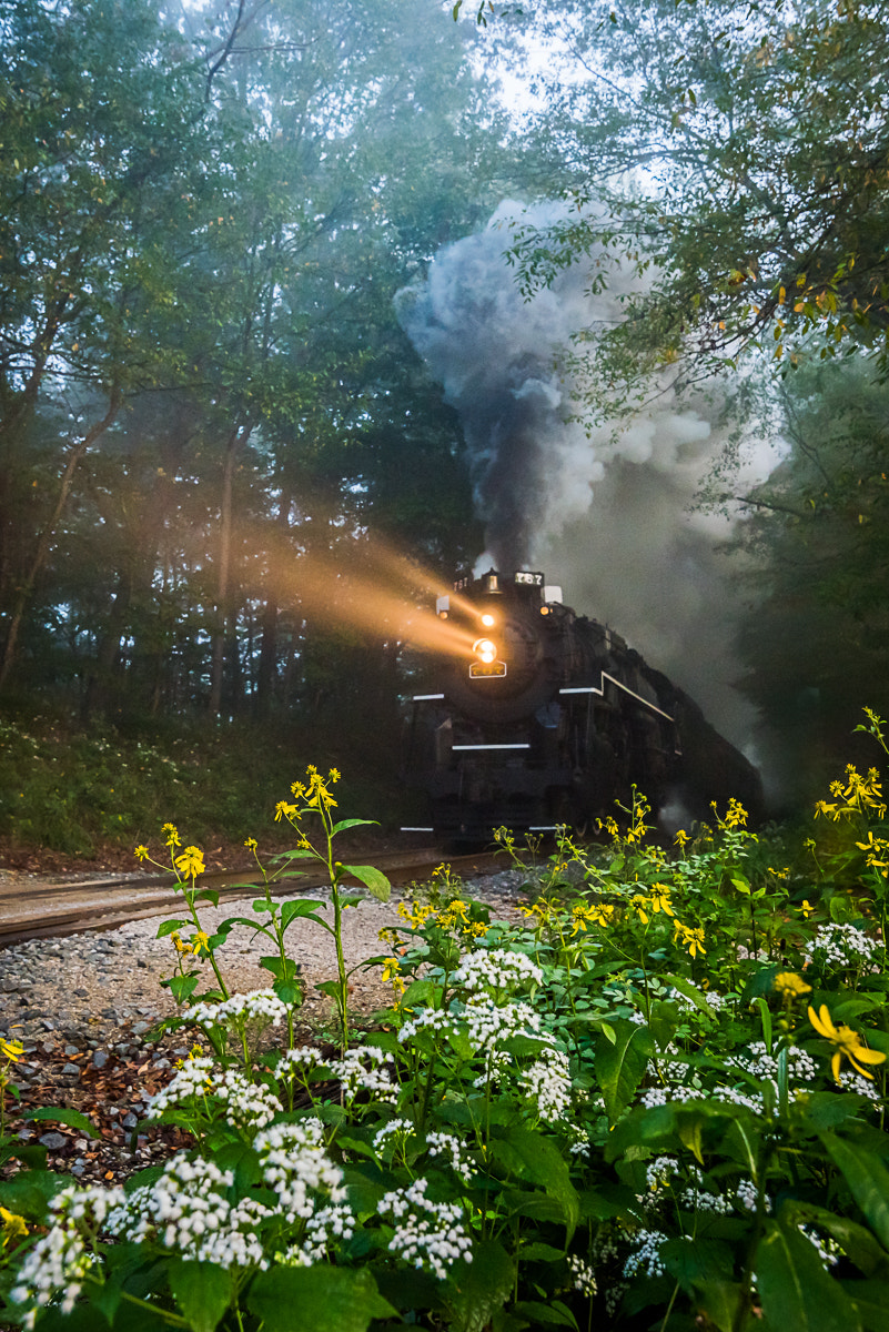 Nikon D810 sample photo. Nickel plate 767 in cuyahoga valley photography
