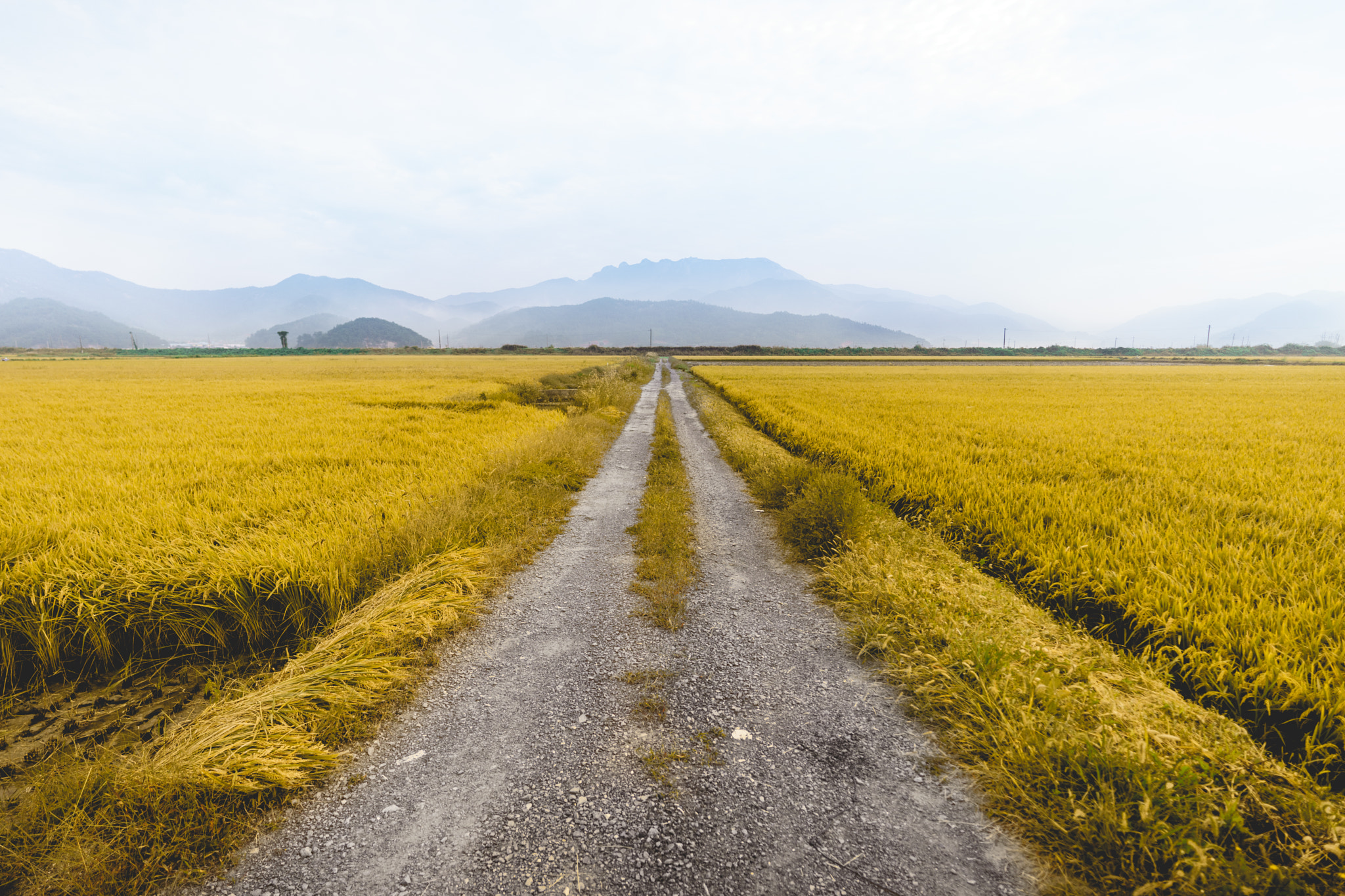 Sony a7 + ZEISS Batis 18mm F2.8 sample photo. 8 peak rice fields photography