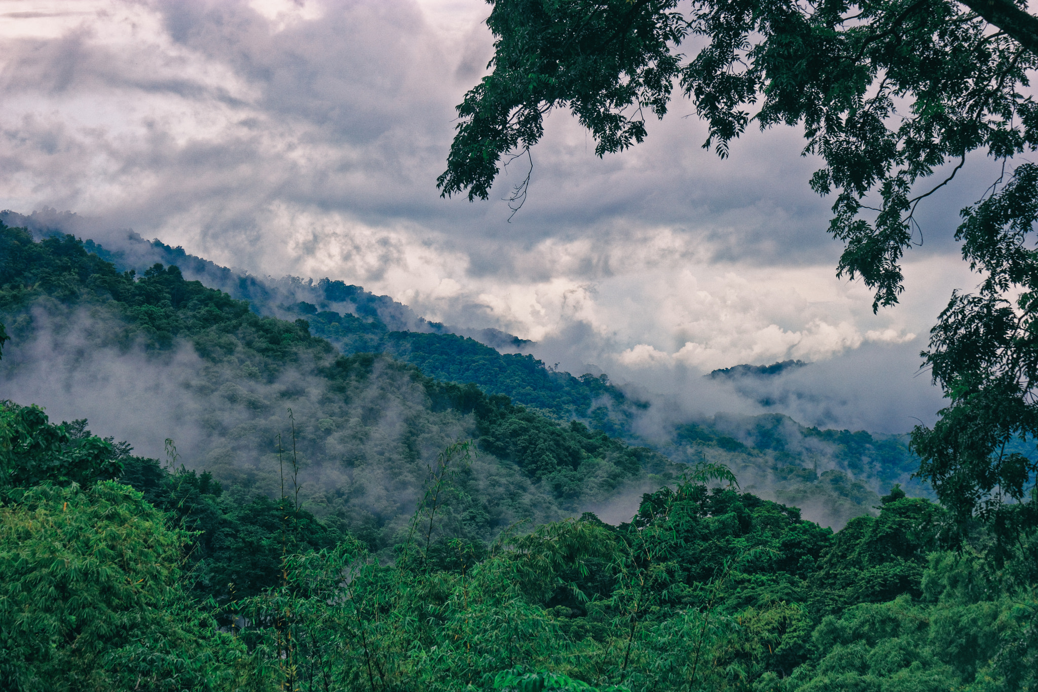 NX 50-200mm F4-5.6 sample photo. Foggy afternoon photography