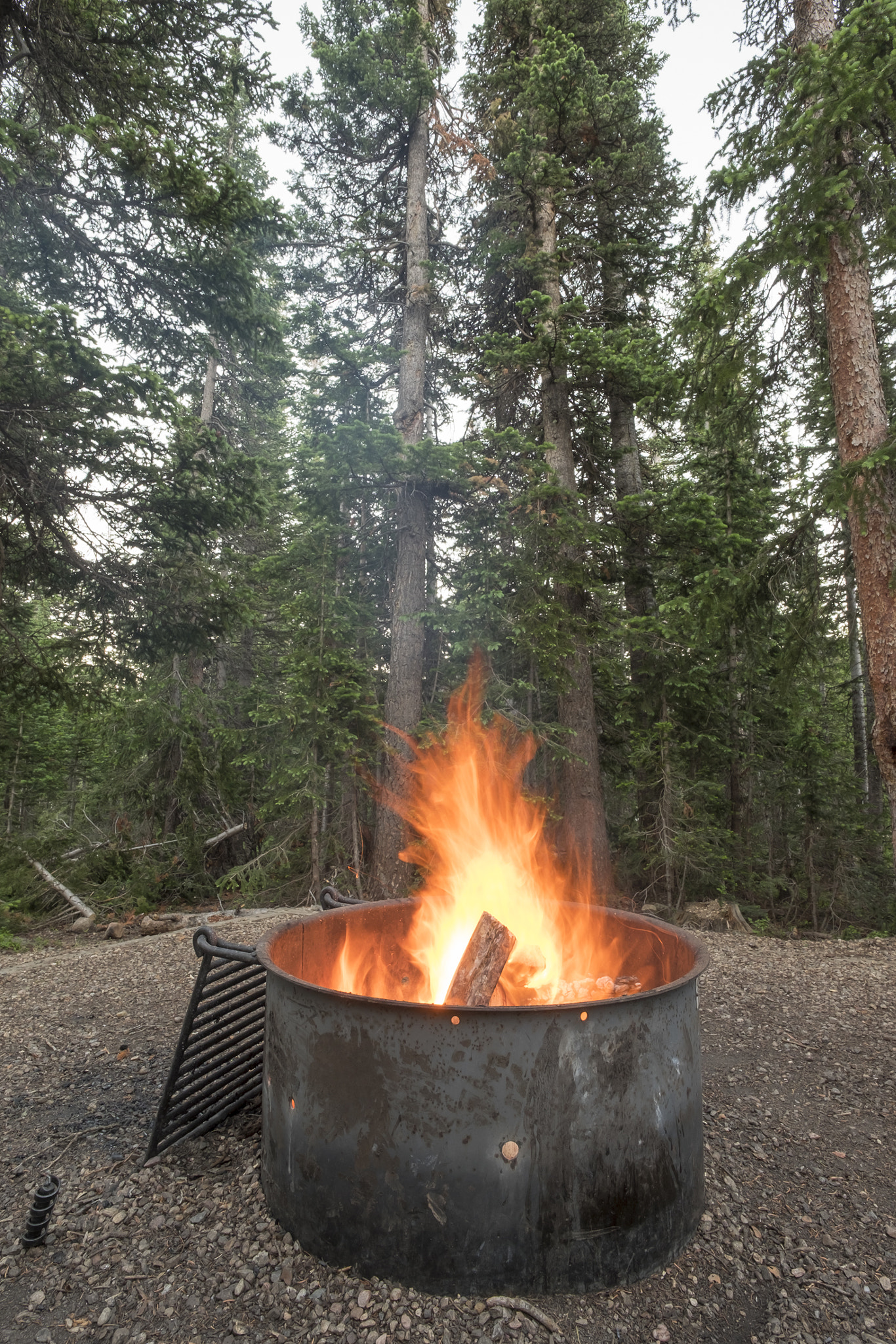 Fujifilm X-T10 + ZEISS Touit 12mm F2.8 sample photo. Indian peaks wilderness // cozy campfire photography