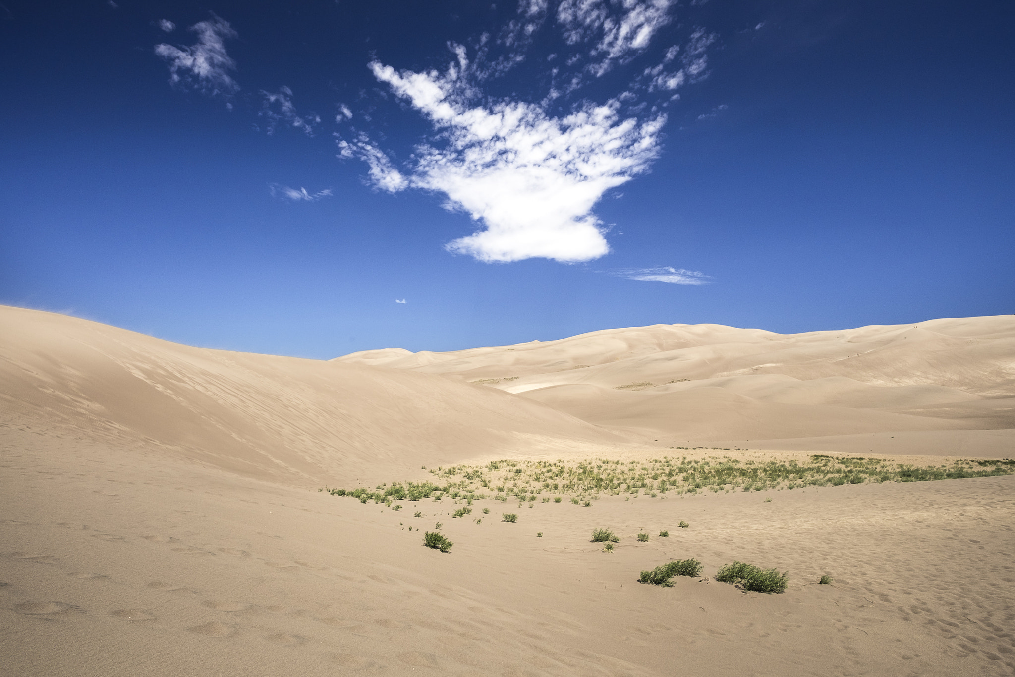 Fujifilm X-T10 + ZEISS Touit 12mm F2.8 sample photo. Great sand dunes np // preparing for the climb photography