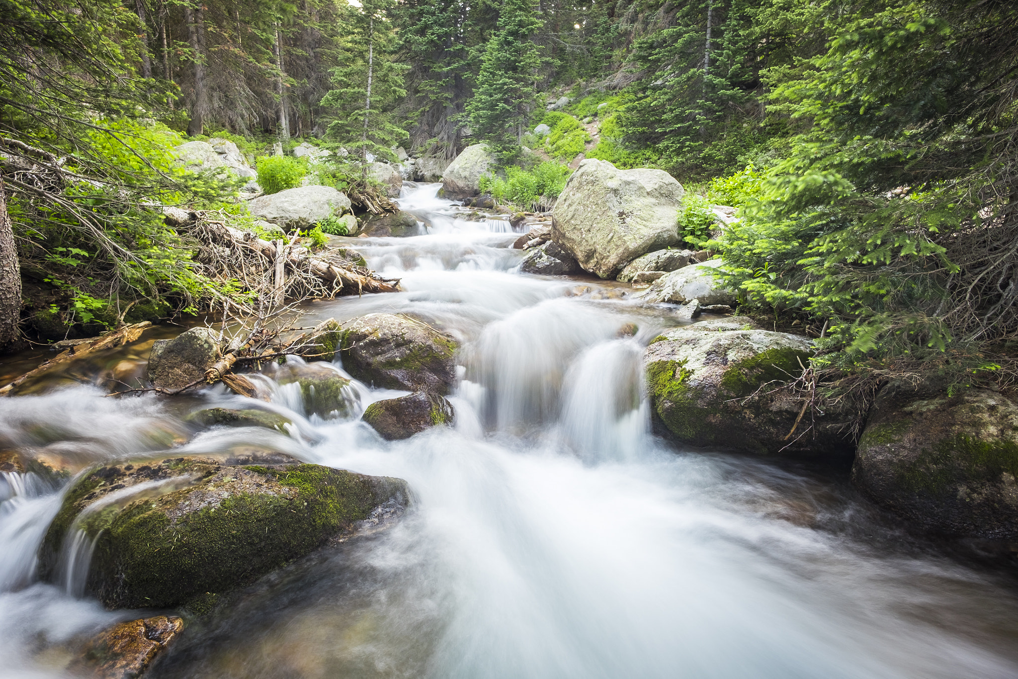 Fujifilm X-T10 + ZEISS Touit 12mm F2.8 sample photo. Rocky mountain np // glacier creek photography