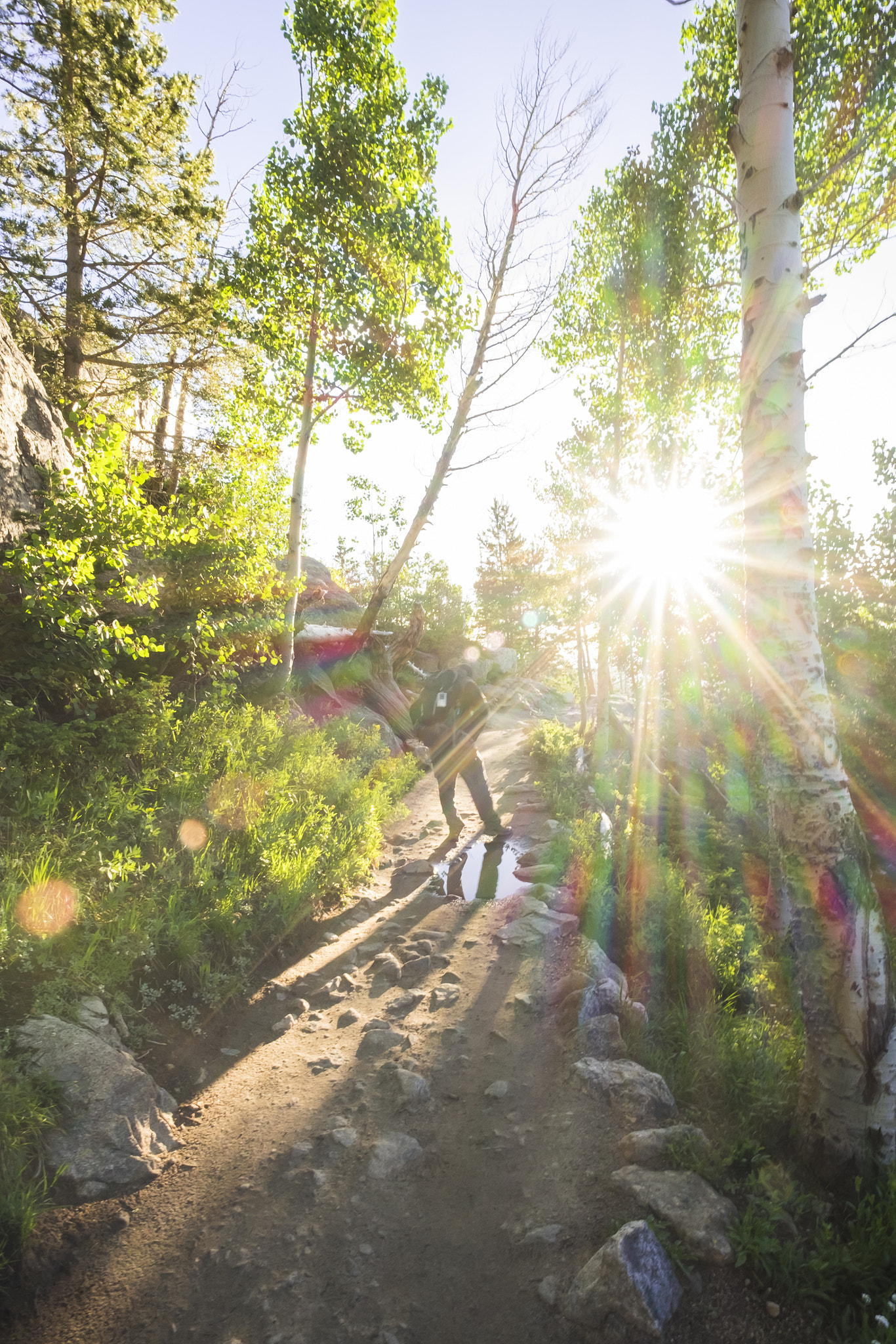 Fujifilm X-T10 + ZEISS Touit 12mm F2.8 sample photo. Rocky mountain np // trail to dream lake photography