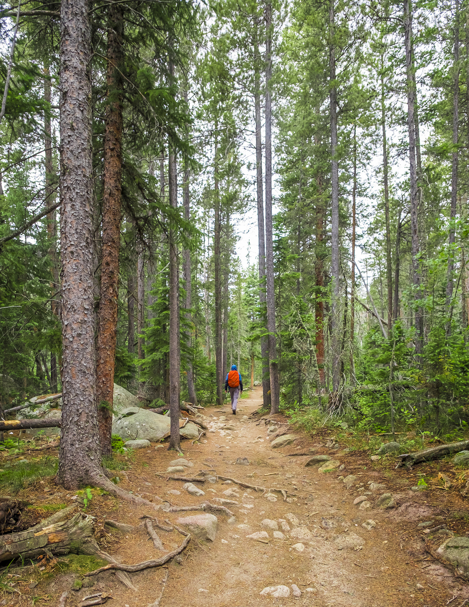 Fujifilm X-T10 + ZEISS Touit 12mm F2.8 sample photo. Rocky mountain np // self portrait photography