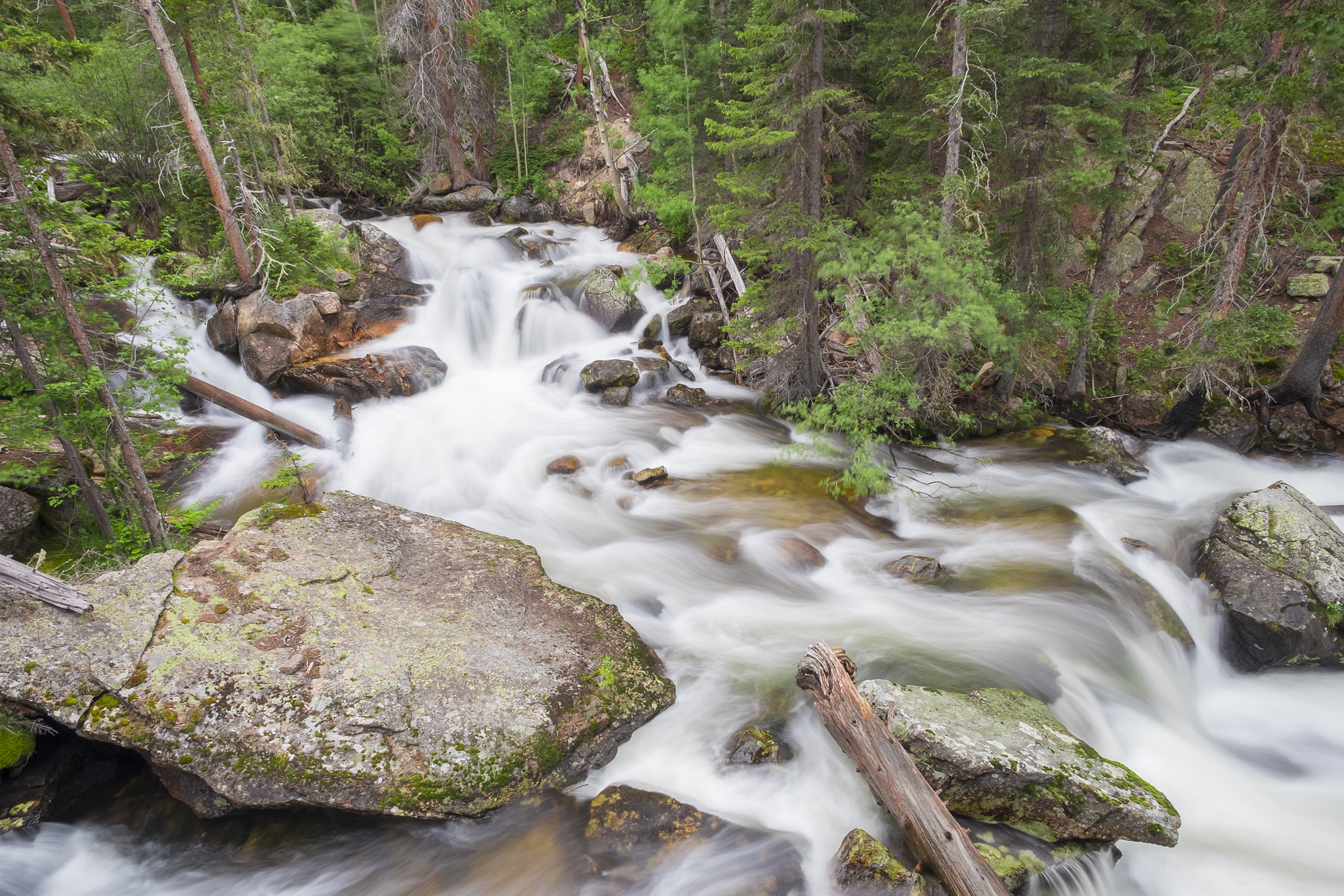 Fujifilm X-T10 + ZEISS Touit 12mm F2.8 sample photo. Rocky mountain np // st vrain creek 2 photography