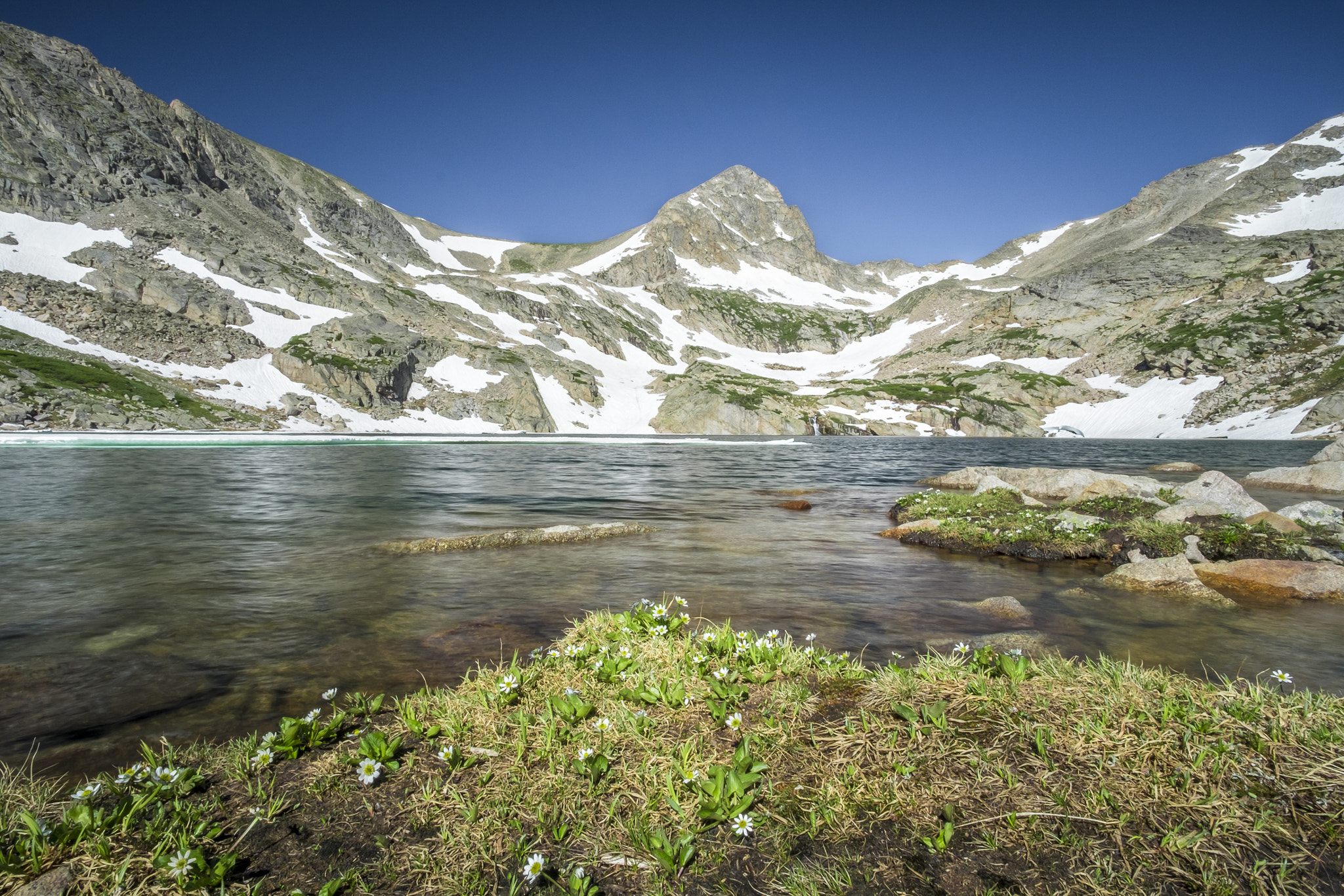 Fujifilm X-T10 + ZEISS Touit 12mm F2.8 sample photo. Indian peaks wilderness // blue lake wildflowers photography