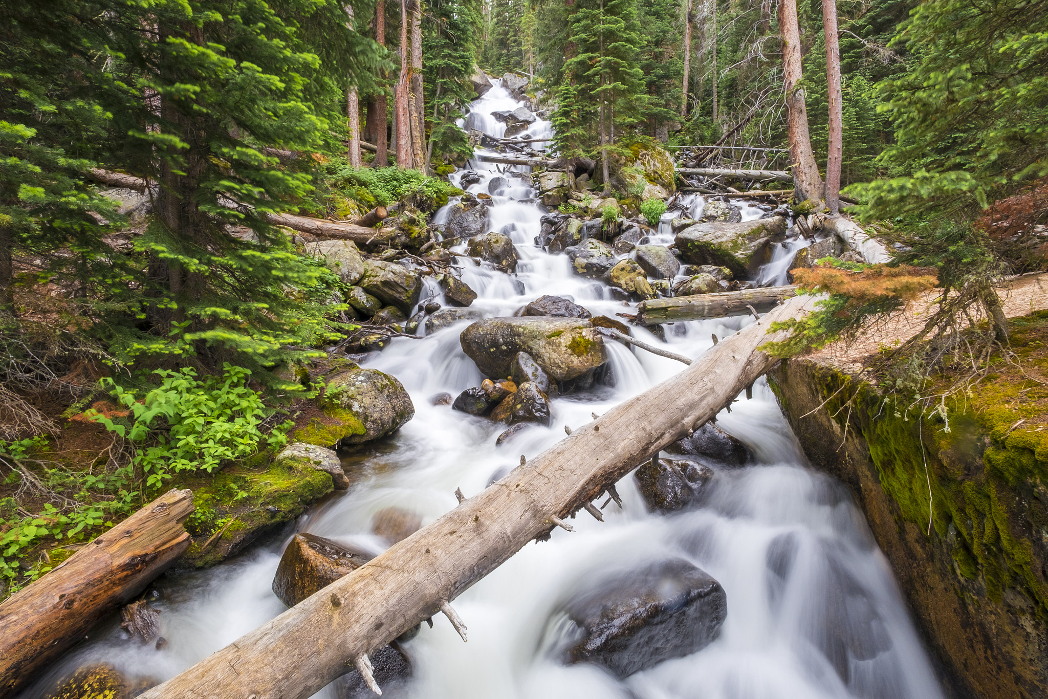 Fujifilm X-T10 + ZEISS Touit 12mm F2.8 sample photo. Rocky mountain np // calypso cascades photography