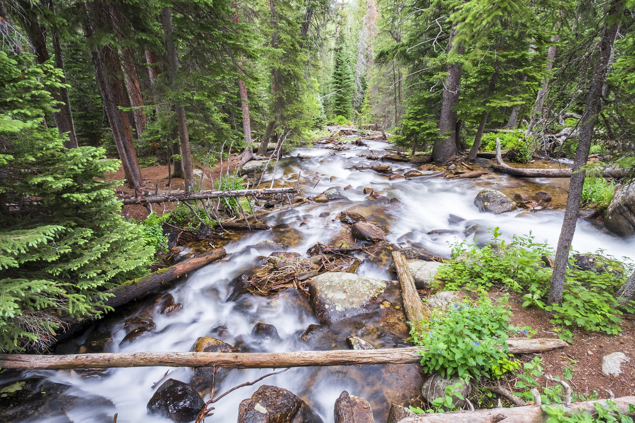 Fujifilm X-T10 + ZEISS Touit 12mm F2.8 sample photo. Rocky mountain np // st vrain creek 4 photography