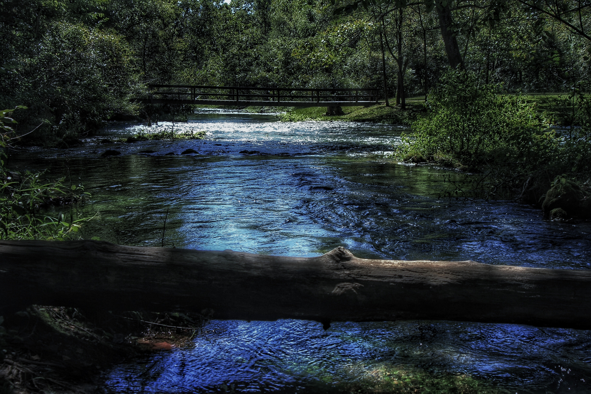 Canon EOS 1000D (EOS Digital Rebel XS / EOS Kiss F) sample photo. Cold waters of alley springs photography