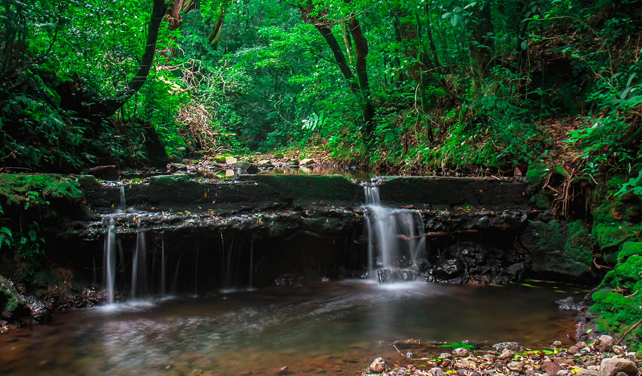 Canon EOS 7D sample photo. Observando photography