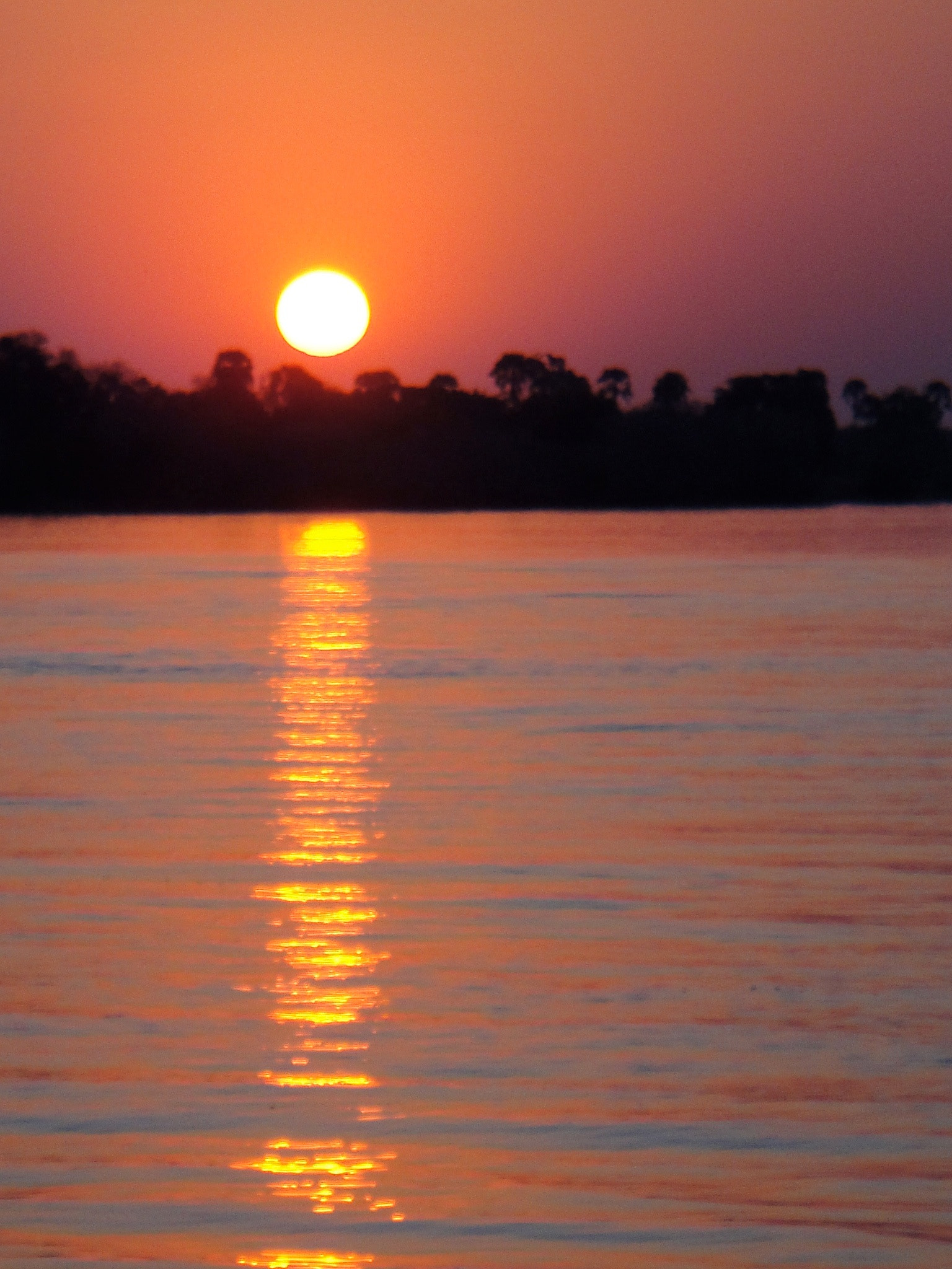 Sony DSC-T90 sample photo. Atardecer en el rio zambeze africa austral  longitud 2574km , desemboca en el oceano indico photography