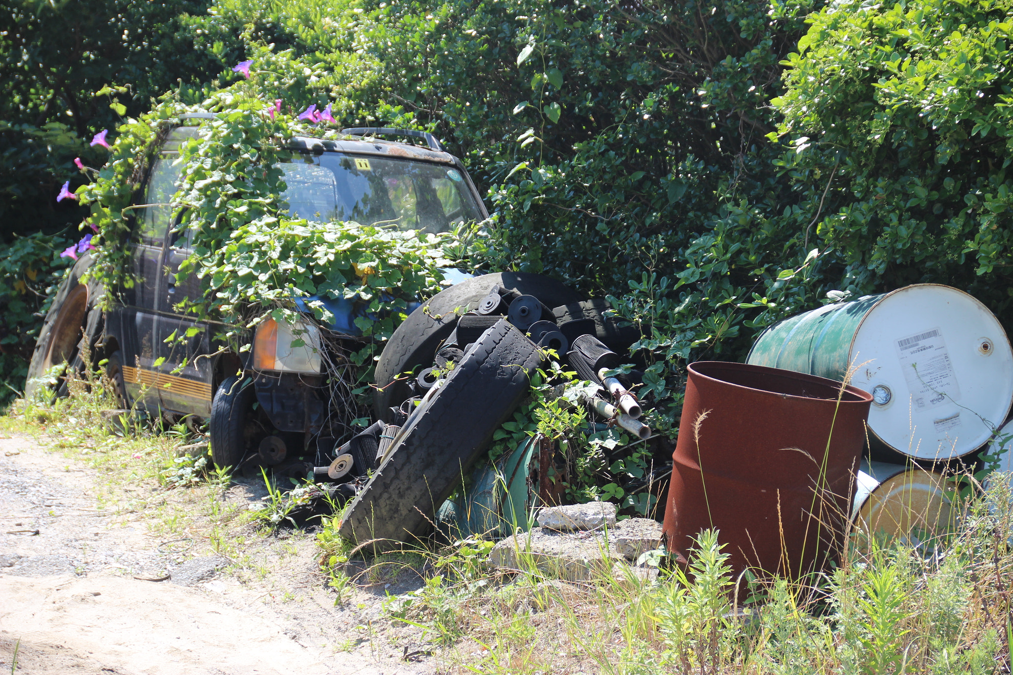 Canon EOS 600D (Rebel EOS T3i / EOS Kiss X5) sample photo. Abandanded car photography