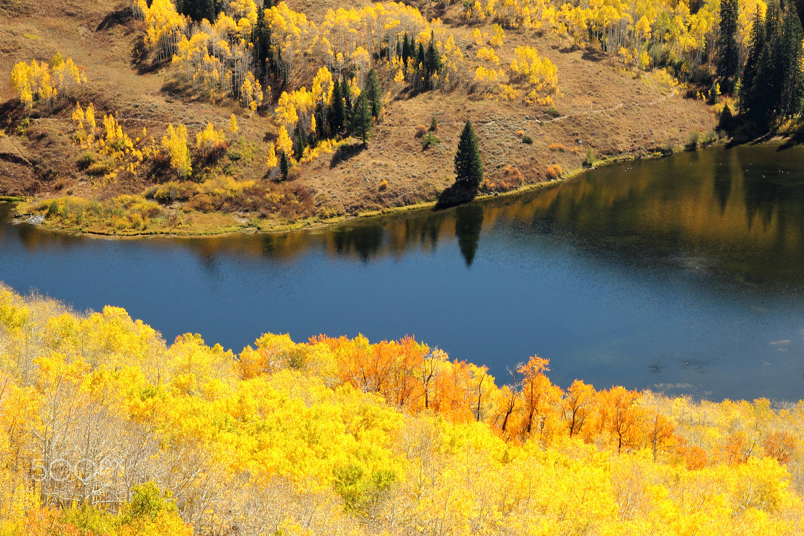 Sigma 18-250mm F3.5-6.3 DC OS HSM sample photo. Fall colors photography
