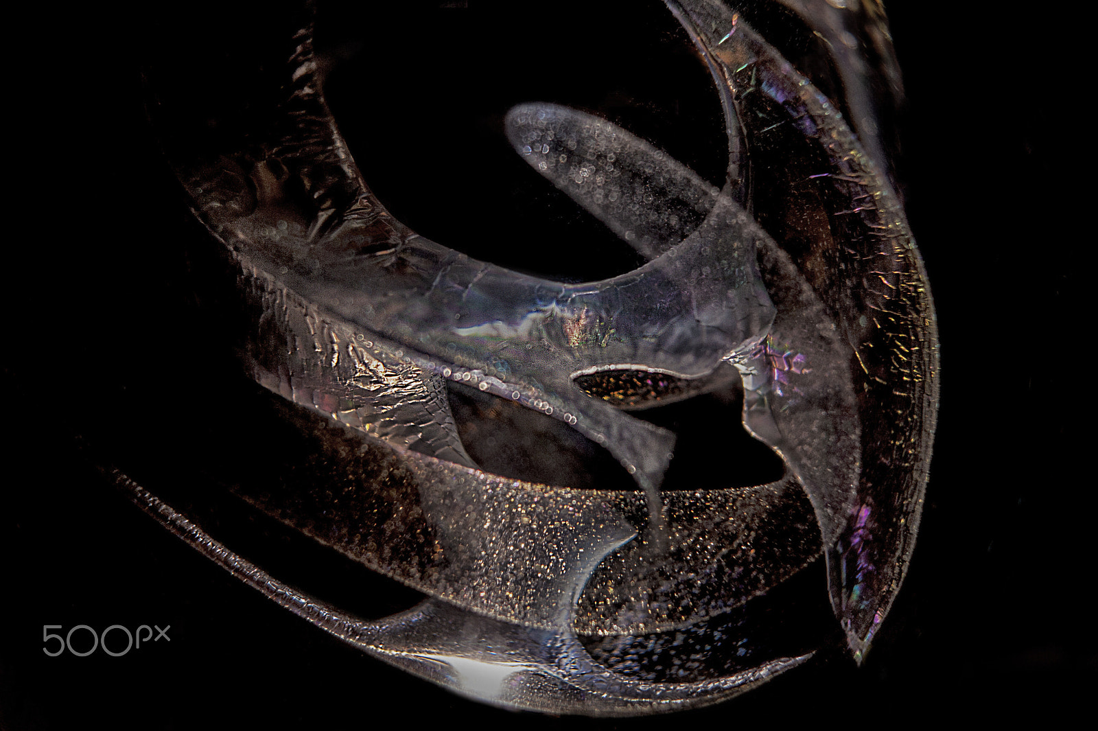 Cosina AF 100mm F3.5 Macro sample photo. Out of this world photography