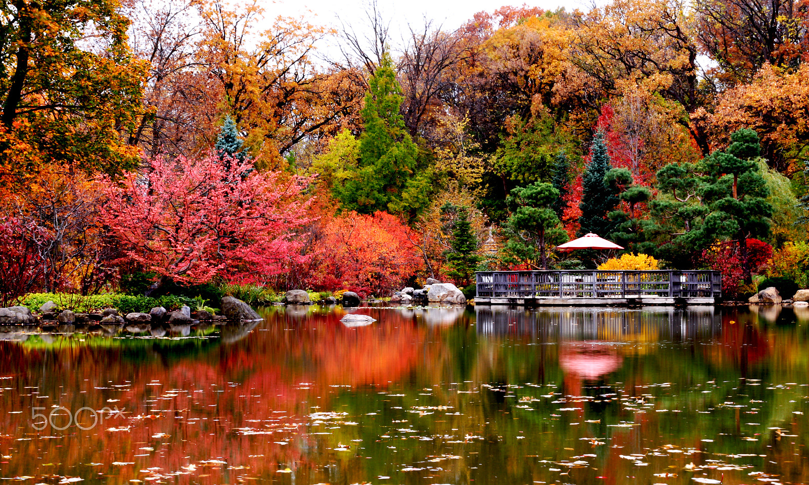 Canon EF 40mm F2.8 STM sample photo. Its autumn..let's take time to sit back and watch the leaves turn !!! photography