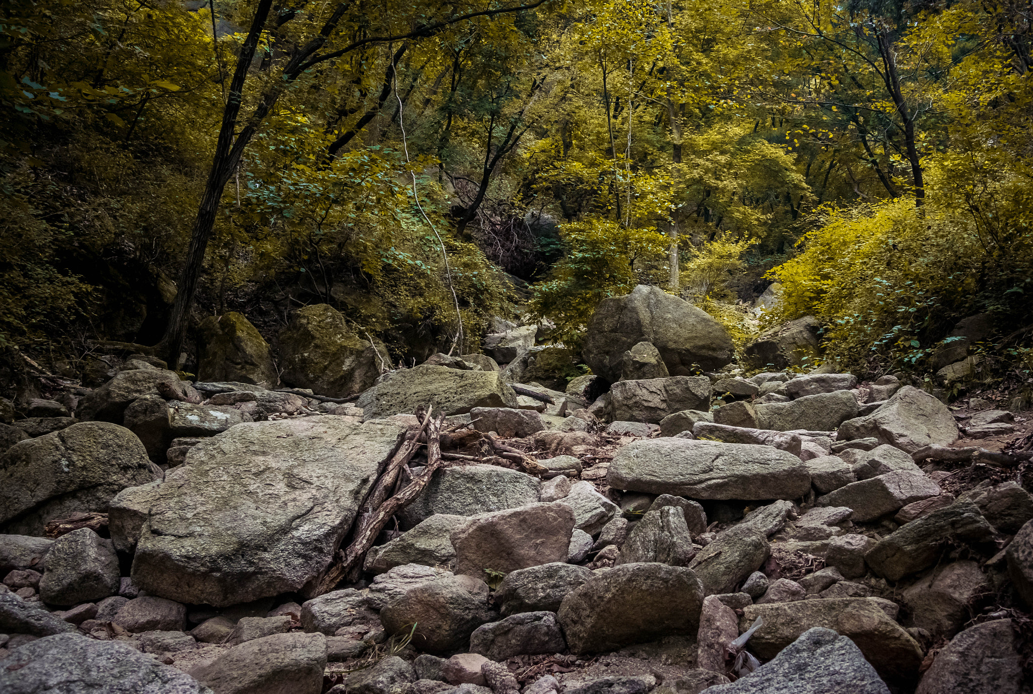 Nikon D5300 + Sigma 18-50mm F2.8 EX DC Macro sample photo. Autumn creek photography