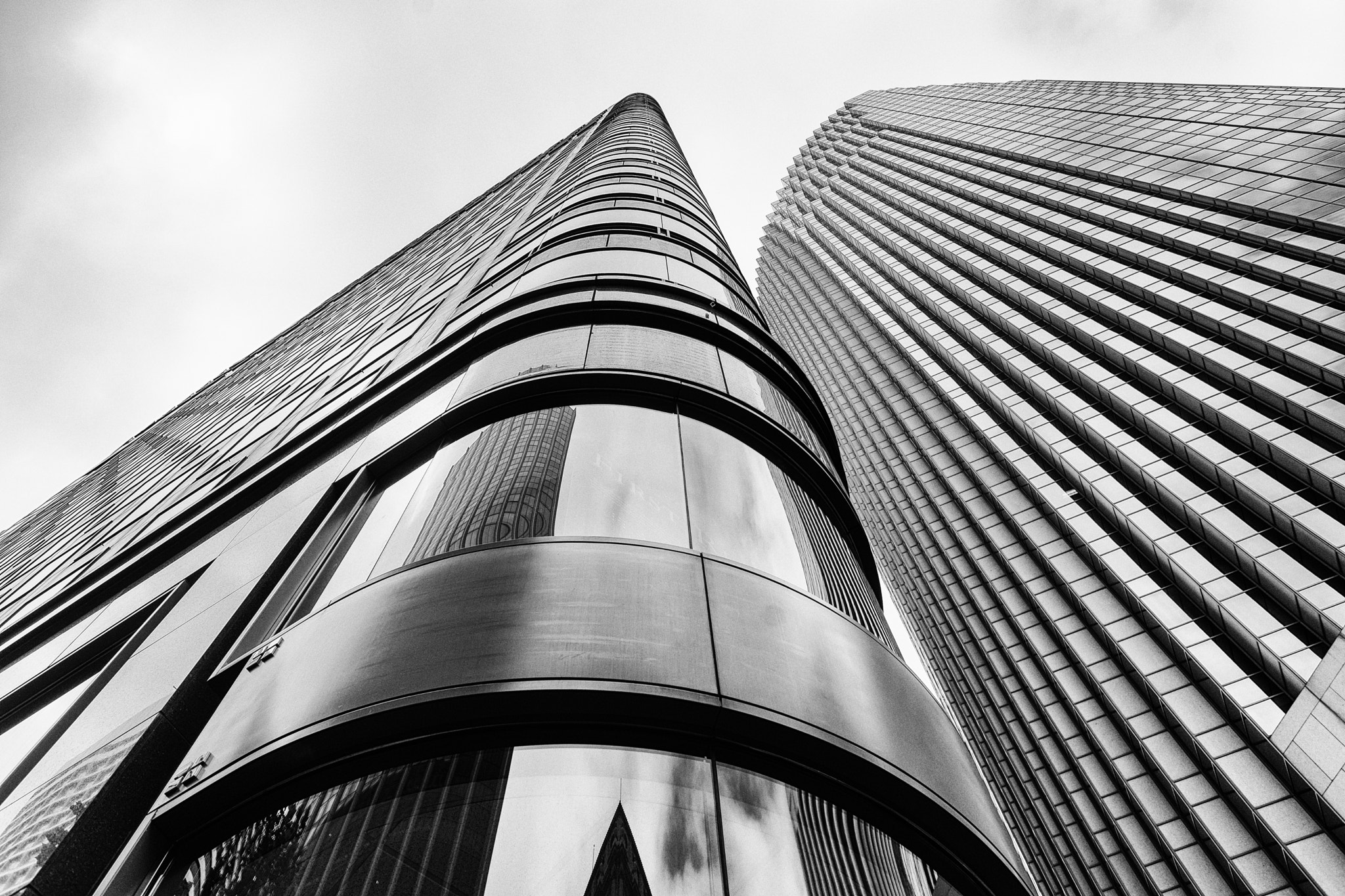 Sony a99 II + Sony 28mm F2.8 sample photo. Looking up photography