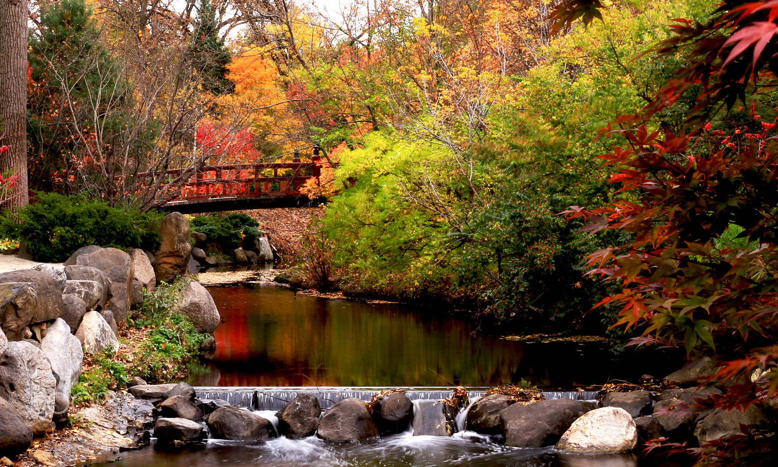 Canon EF 40mm F2.8 STM sample photo. View of the giboshi bridge from the cypress bridge photography