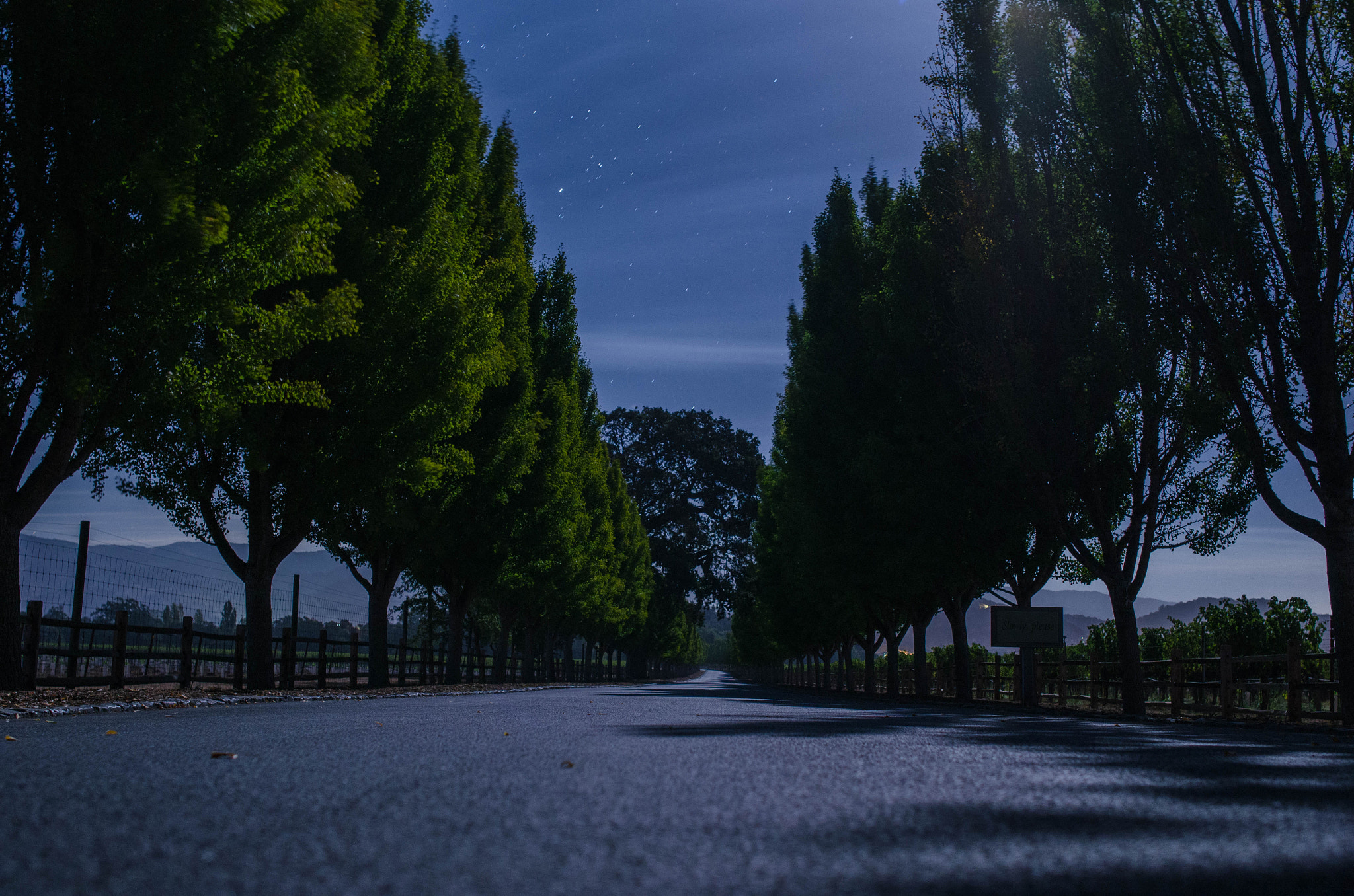 Samyang 12mm F2.8 ED AS NCS Fisheye sample photo. Far niente winery driveway photography