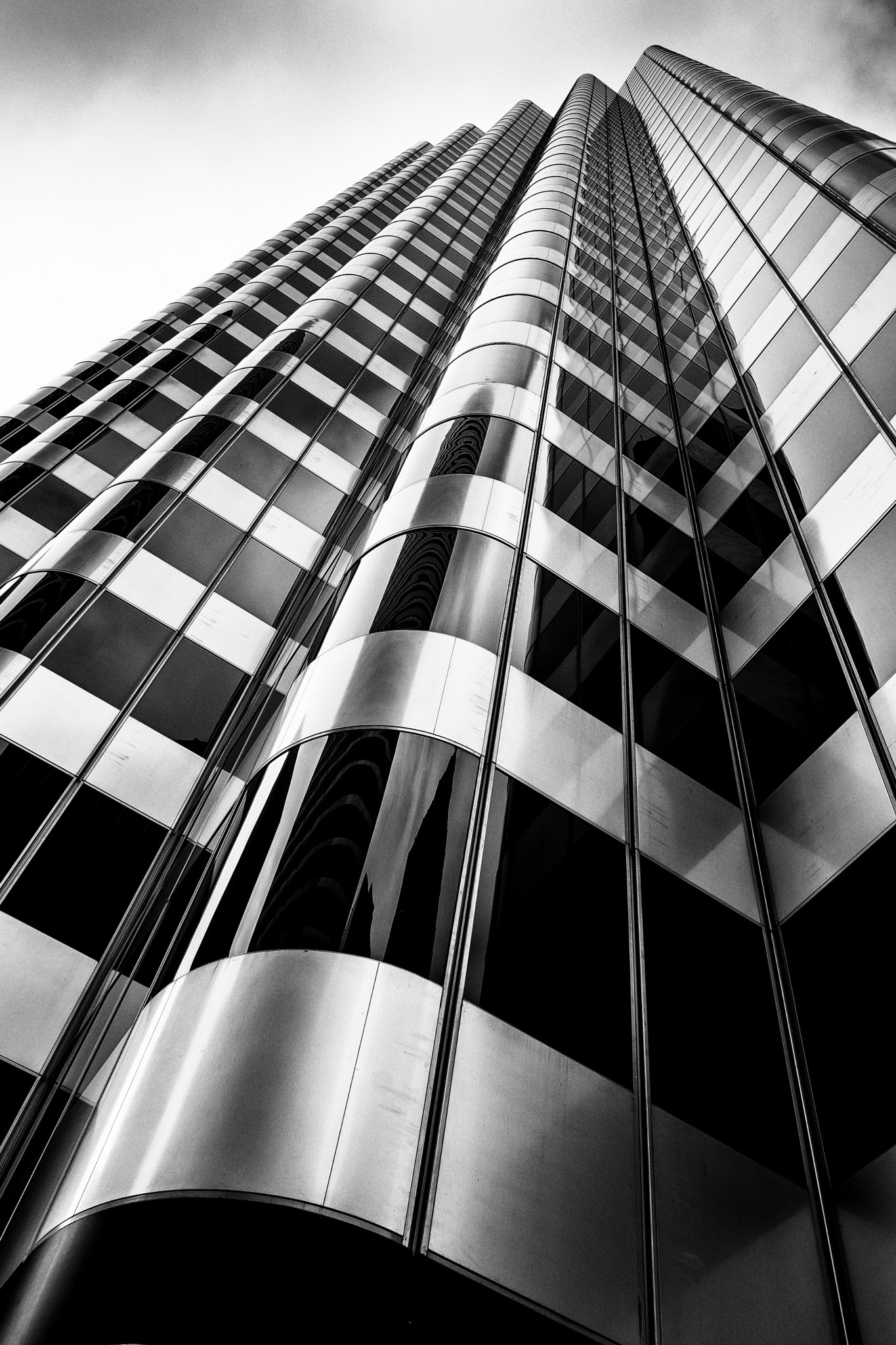 Sony a99 II + Sony 28mm F2.8 sample photo. Looking up photography