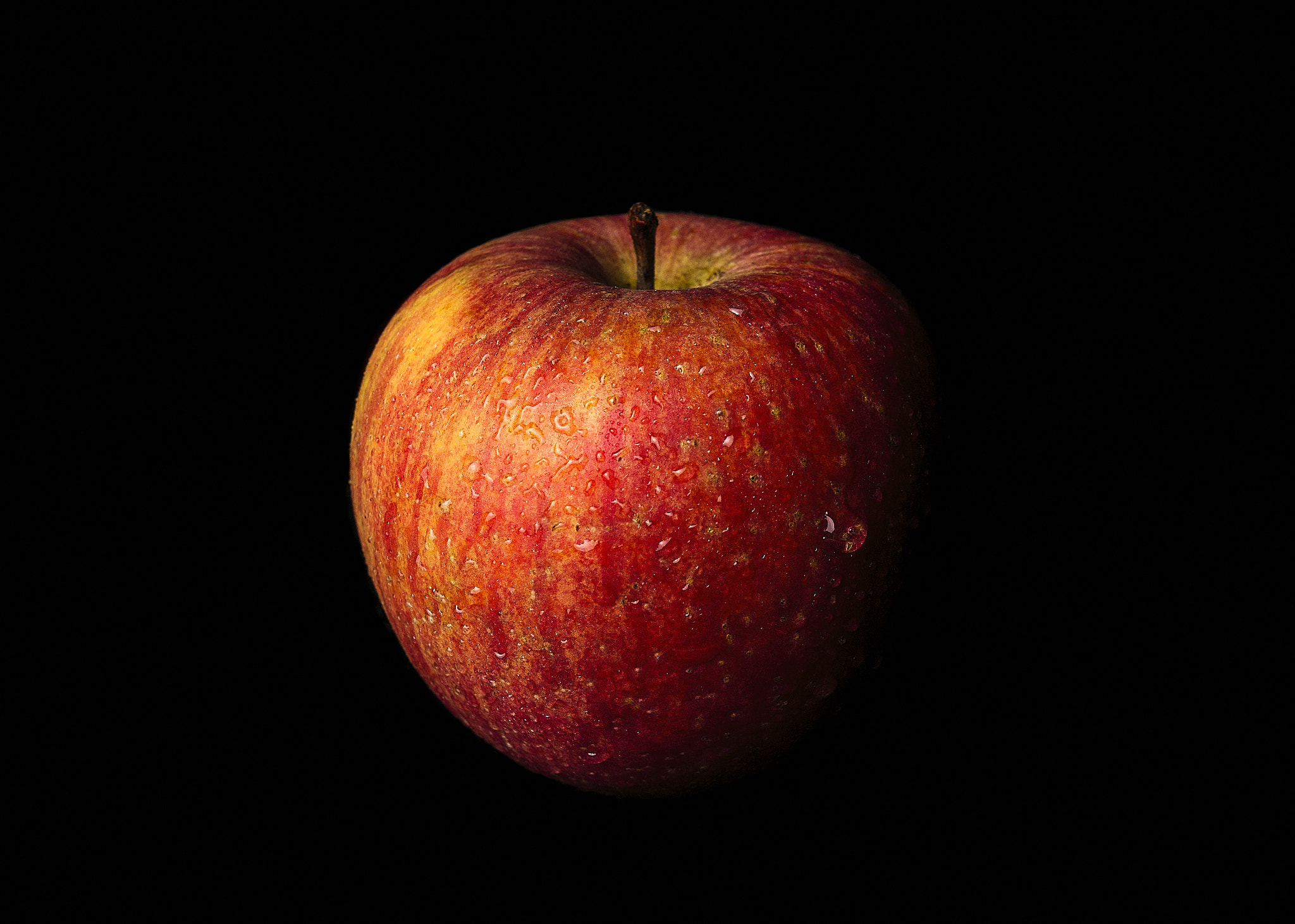 Canon EOS 70D + Canon EF 300mm f/2.8L sample photo. Snow white's apple photography