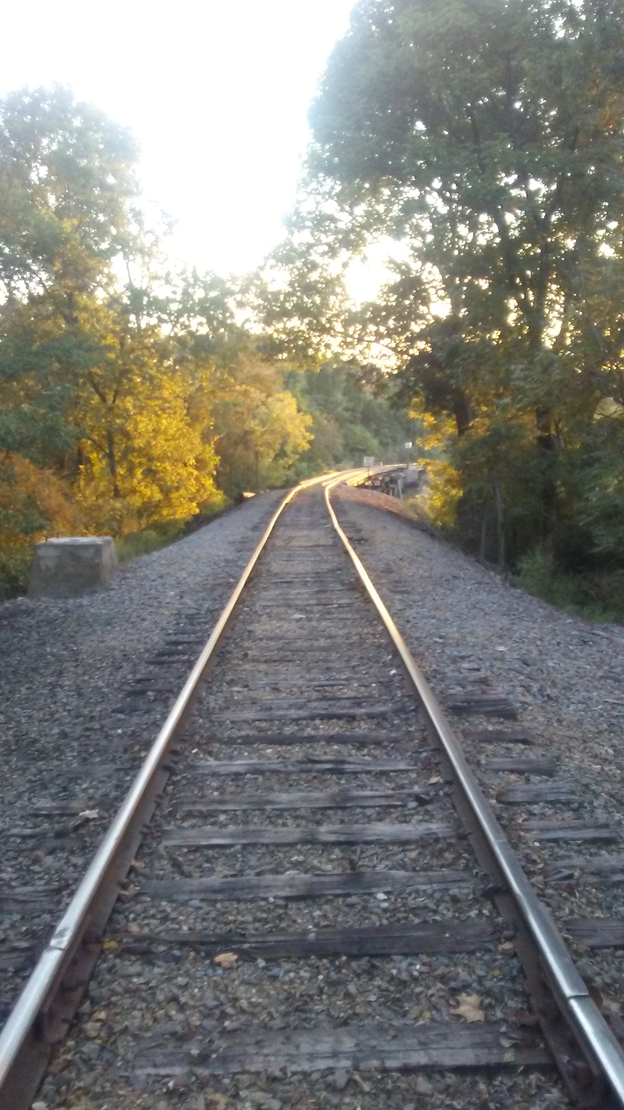 LG Zone3 sample photo. Railroad path photography