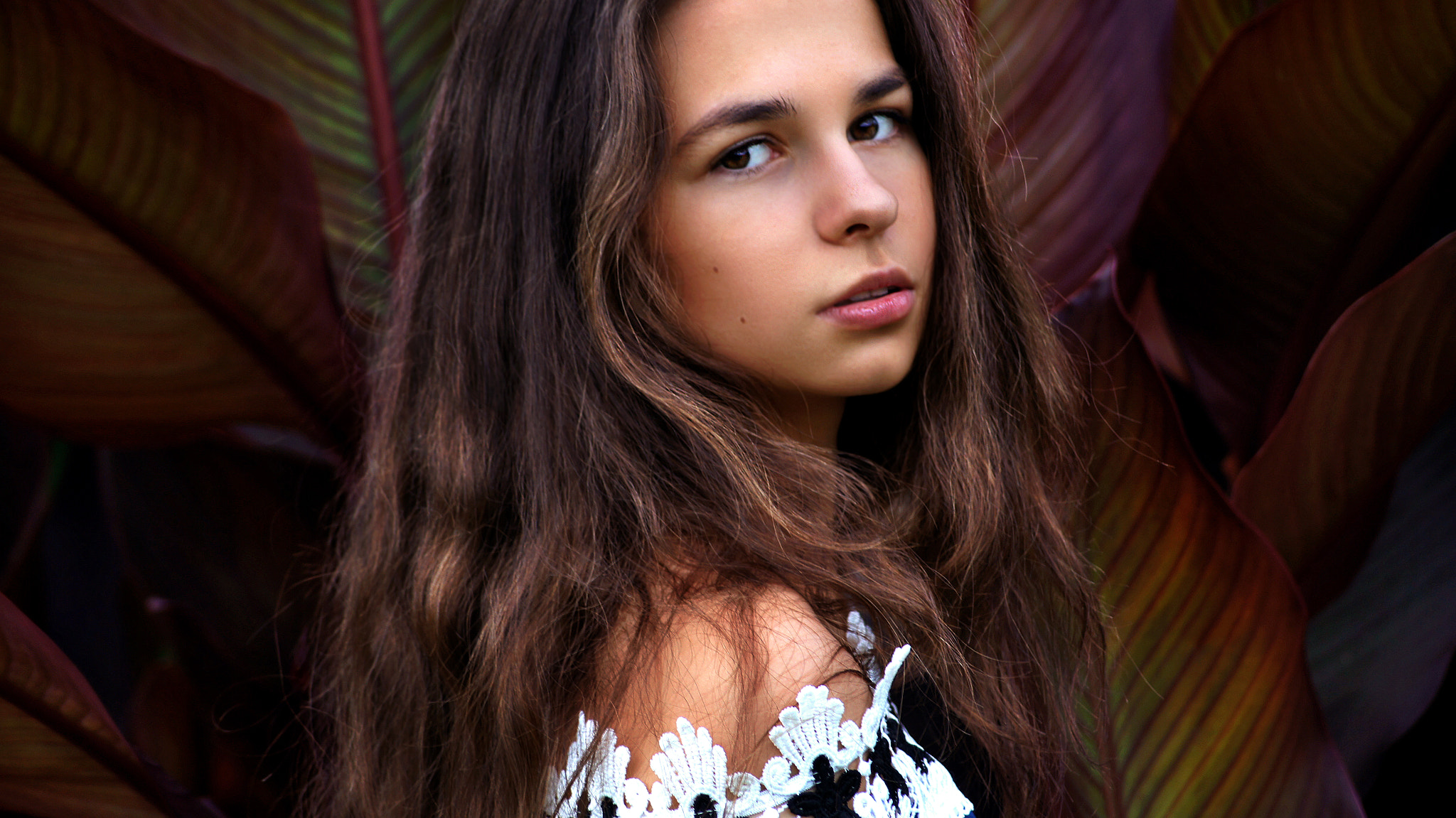 Sony DT 55-200mm F4-5.6 SAM sample photo. Game views photography