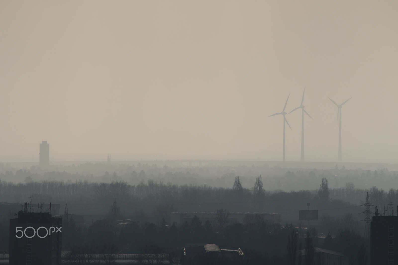 Canon EF 75-300mm f/4-5.6 USM sample photo. Fog photography