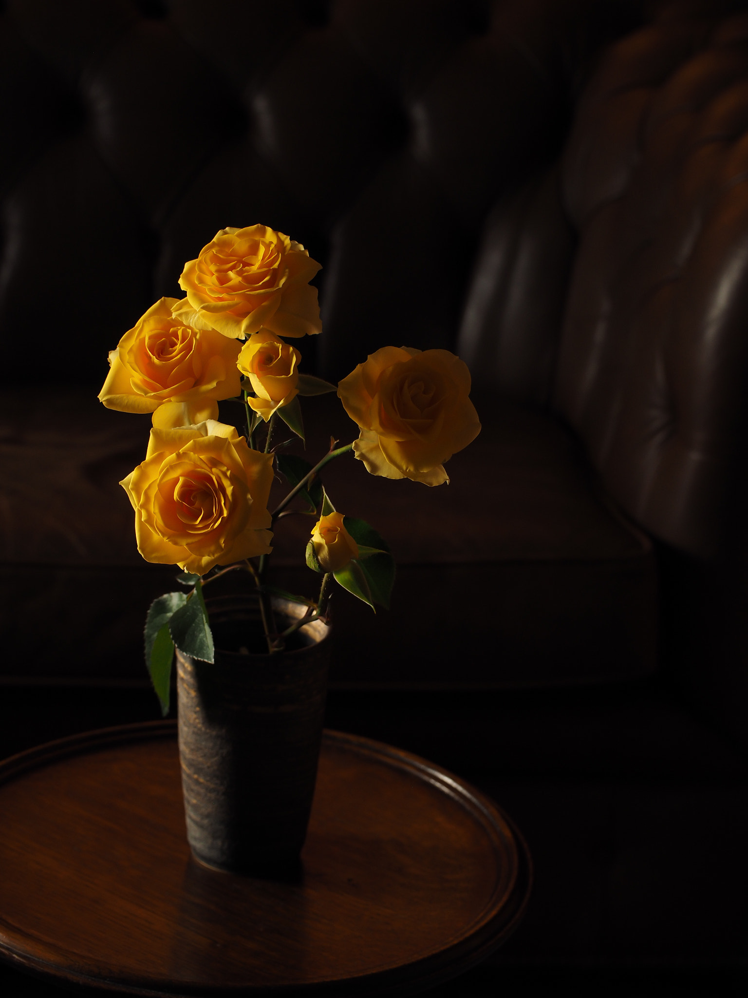 Panasonic Leica DG Macro-Elmarit 45mm F2.8 ASPH OIS sample photo