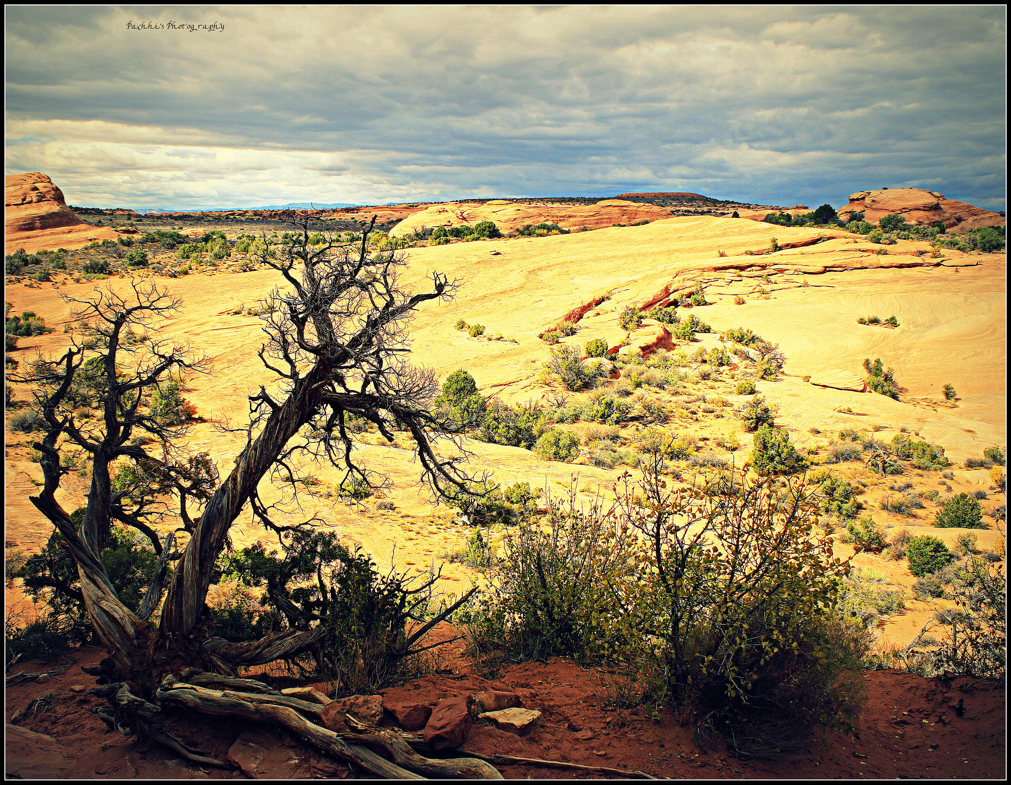 Canon EOS 7D Mark II + Canon EF-S 18-55mm F3.5-5.6 IS sample photo. Arches national park photography
