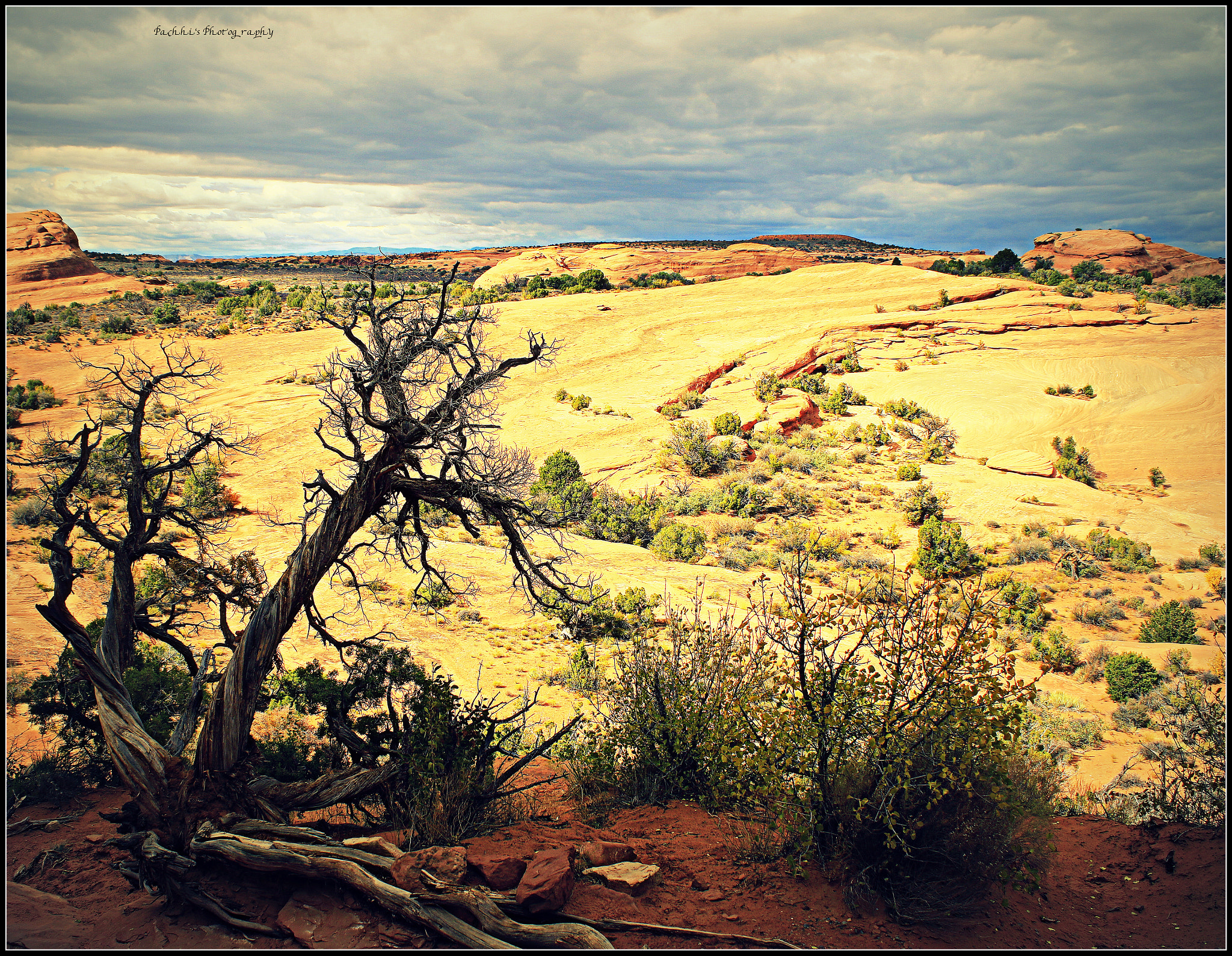 Canon EF-S 18-55mm F3.5-5.6 IS sample photo. Arches national park photography