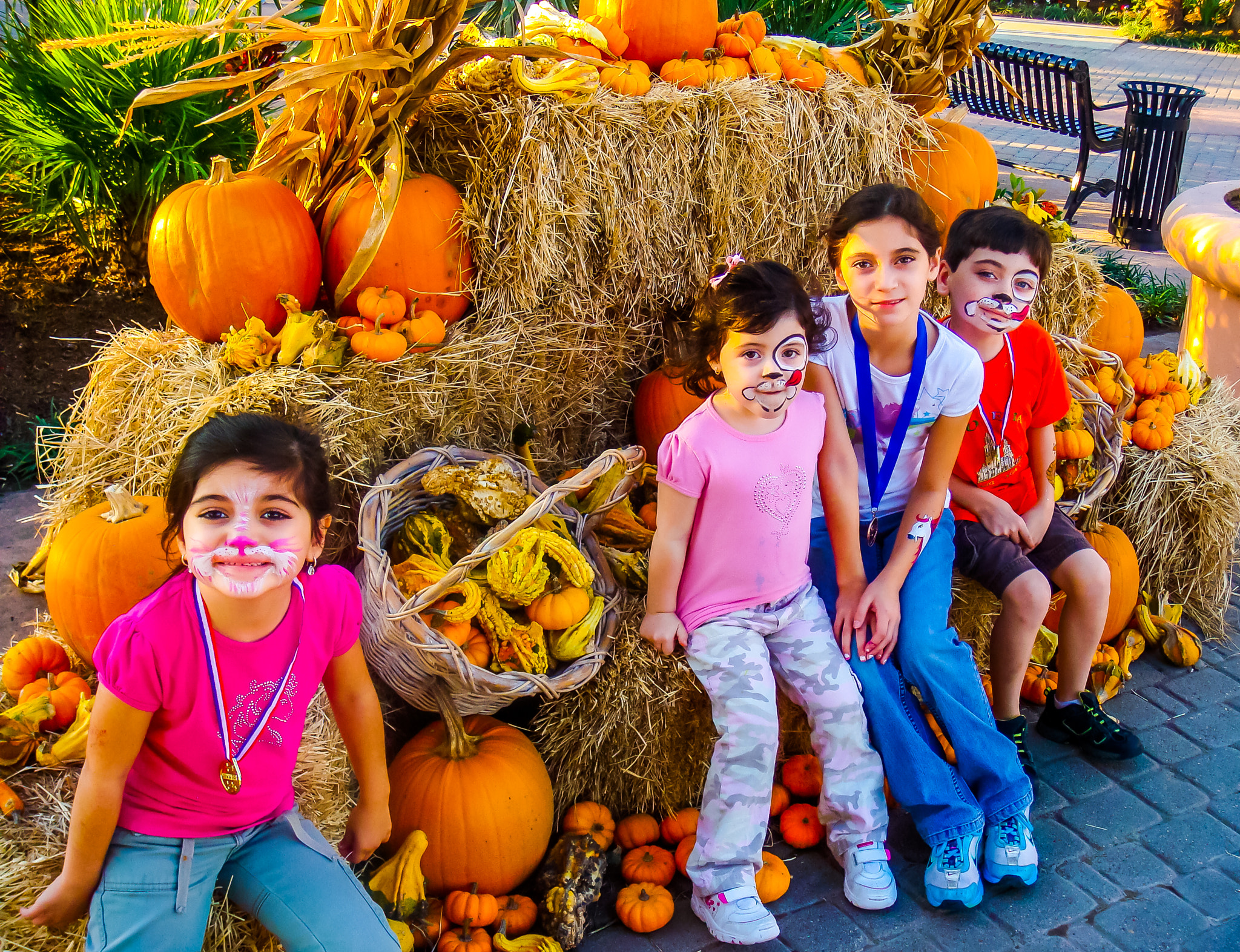 Sony DSC-T100 sample photo. Pumpkin patch photography