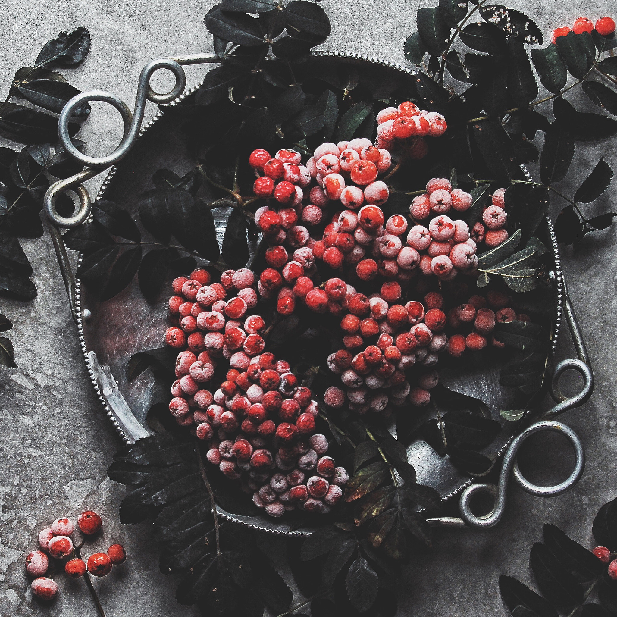 Canon EF-S 55-250mm F4-5.6 IS STM sample photo. Frozen rowanberry photography