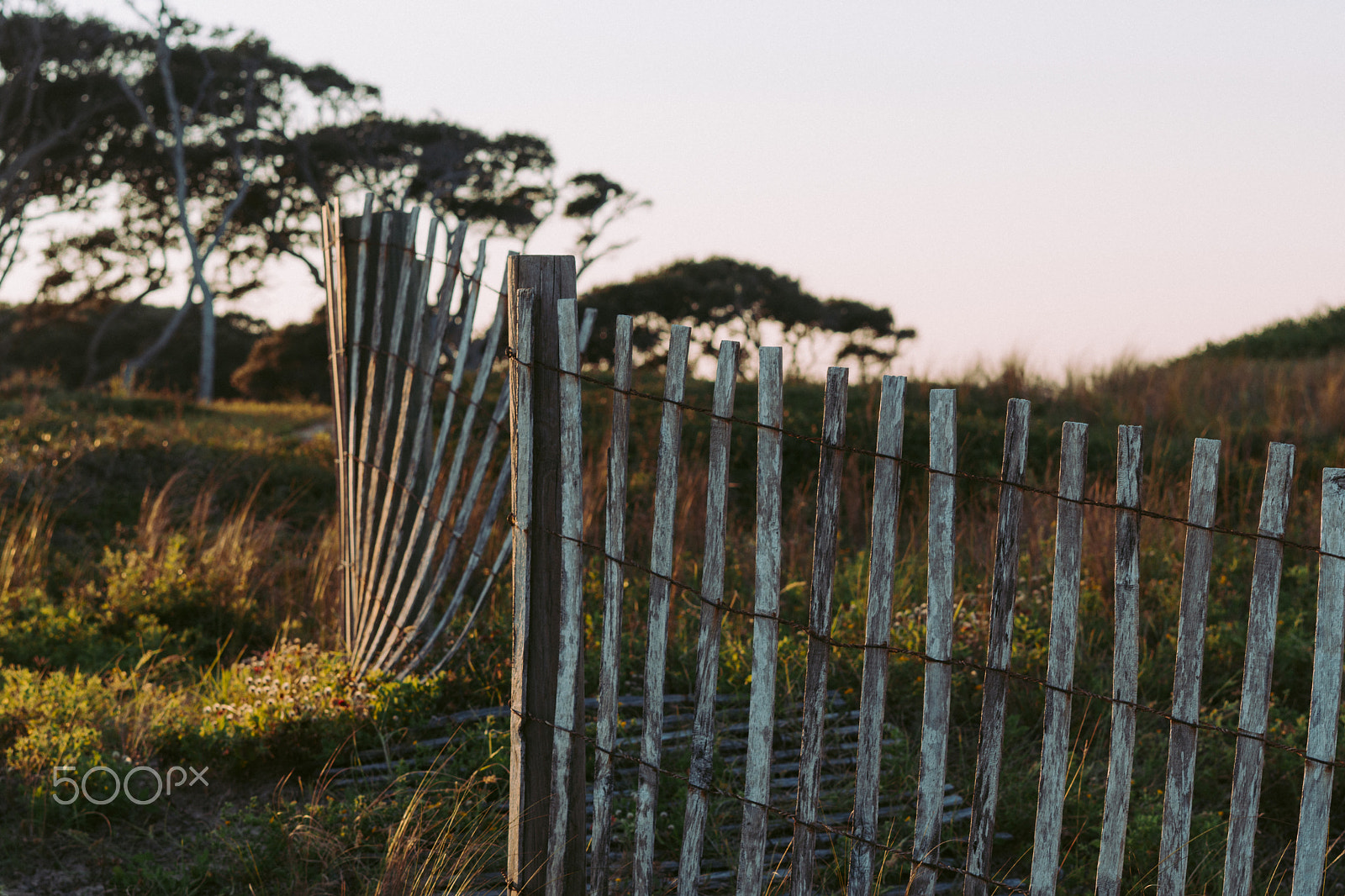 Sony a6300 + Sony Sonnar T* FE 55mm F1.8 ZA sample photo. Focus field photography