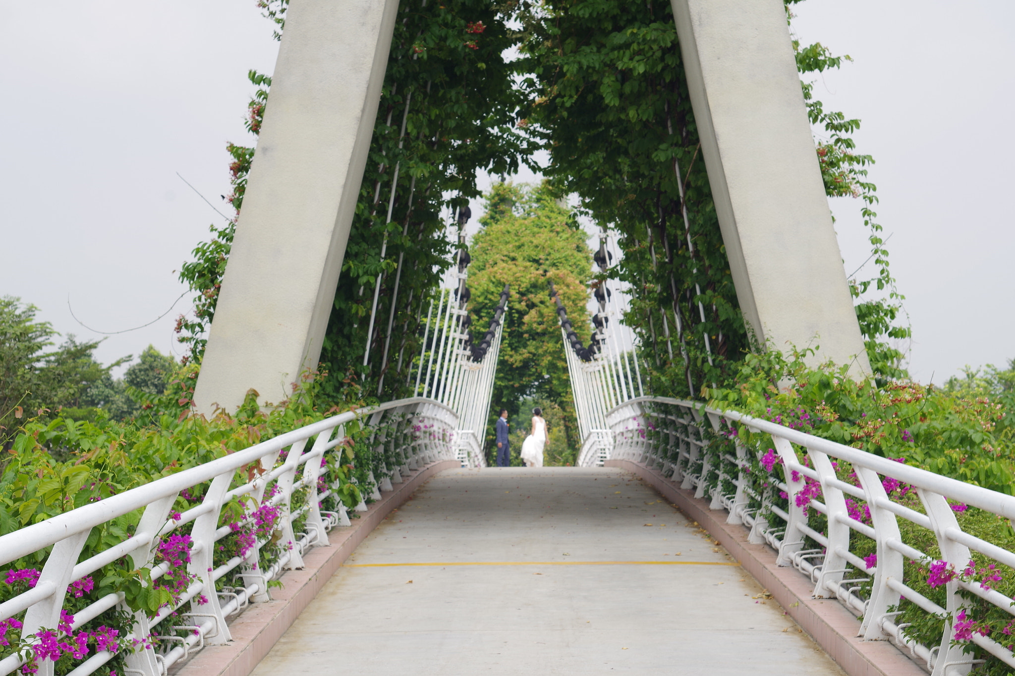 Pentax K-50 + A Series Lens sample photo