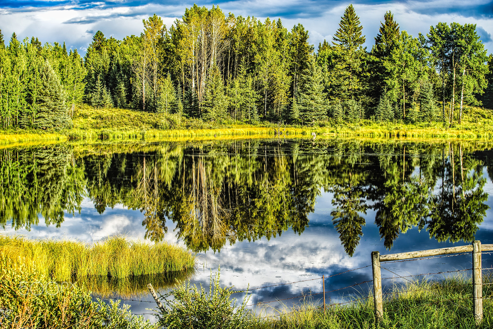 Sony a7R + Canon EF 70-200mm F4L USM sample photo. Alberta landscapes photography