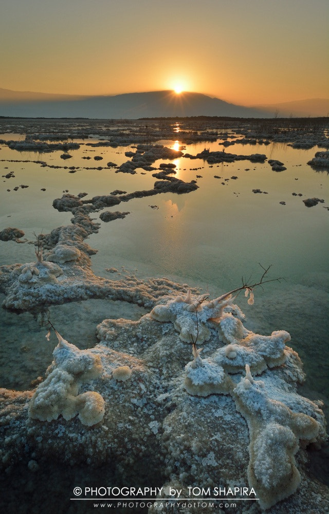 Sigma 8-16mm F4.5-5.6 DC HSM sample photo. Sunrise with a grain of salt photography