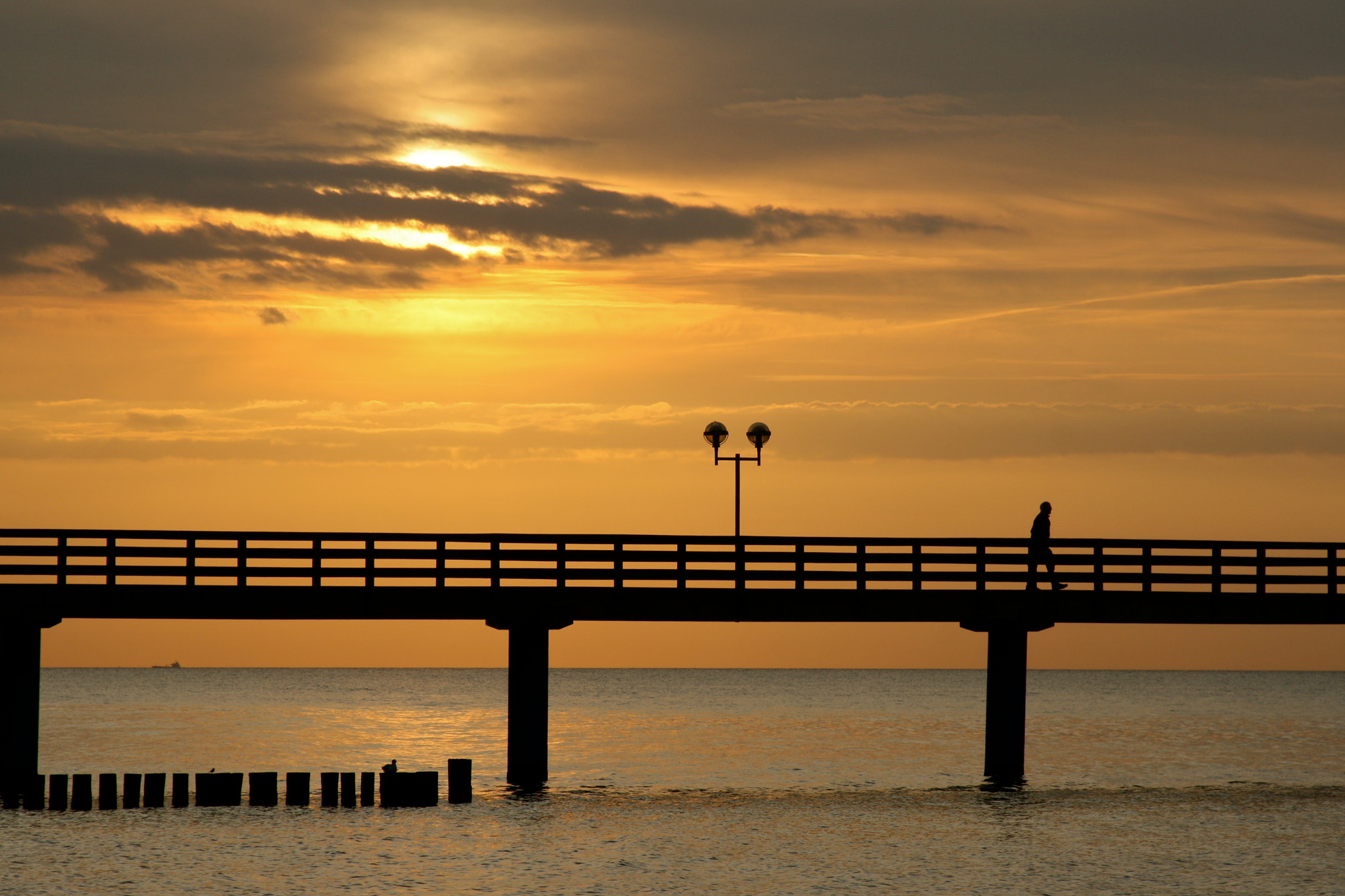 Canon EF 28-135mm F3.5-5.6 IS USM sample photo. Ostsee - graal-müritz photography