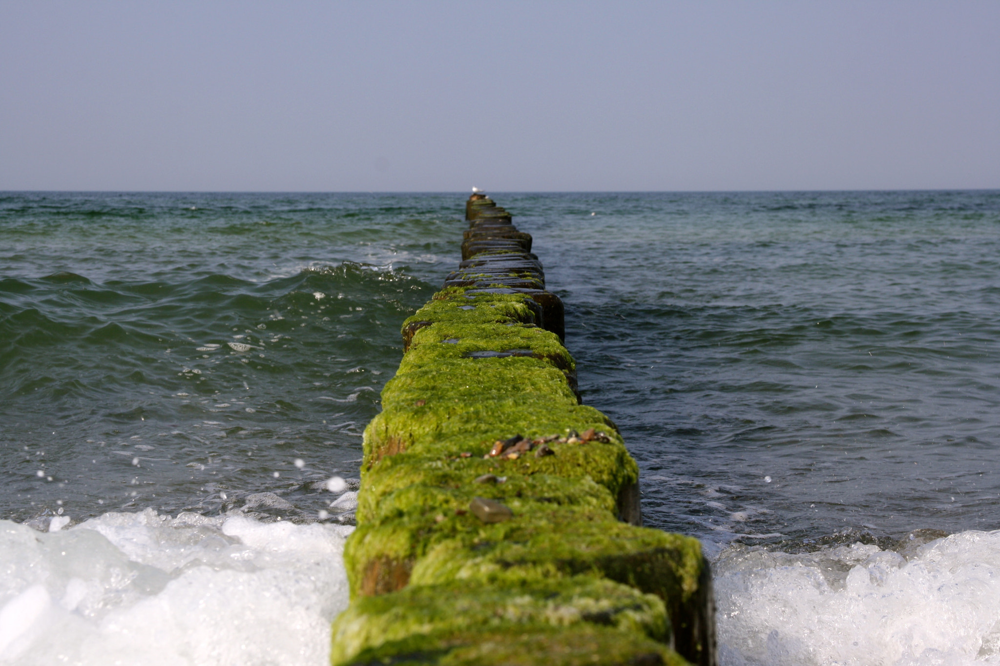 Canon EF 28-135mm F3.5-5.6 IS USM sample photo. Ostsee - graal-müritz photography
