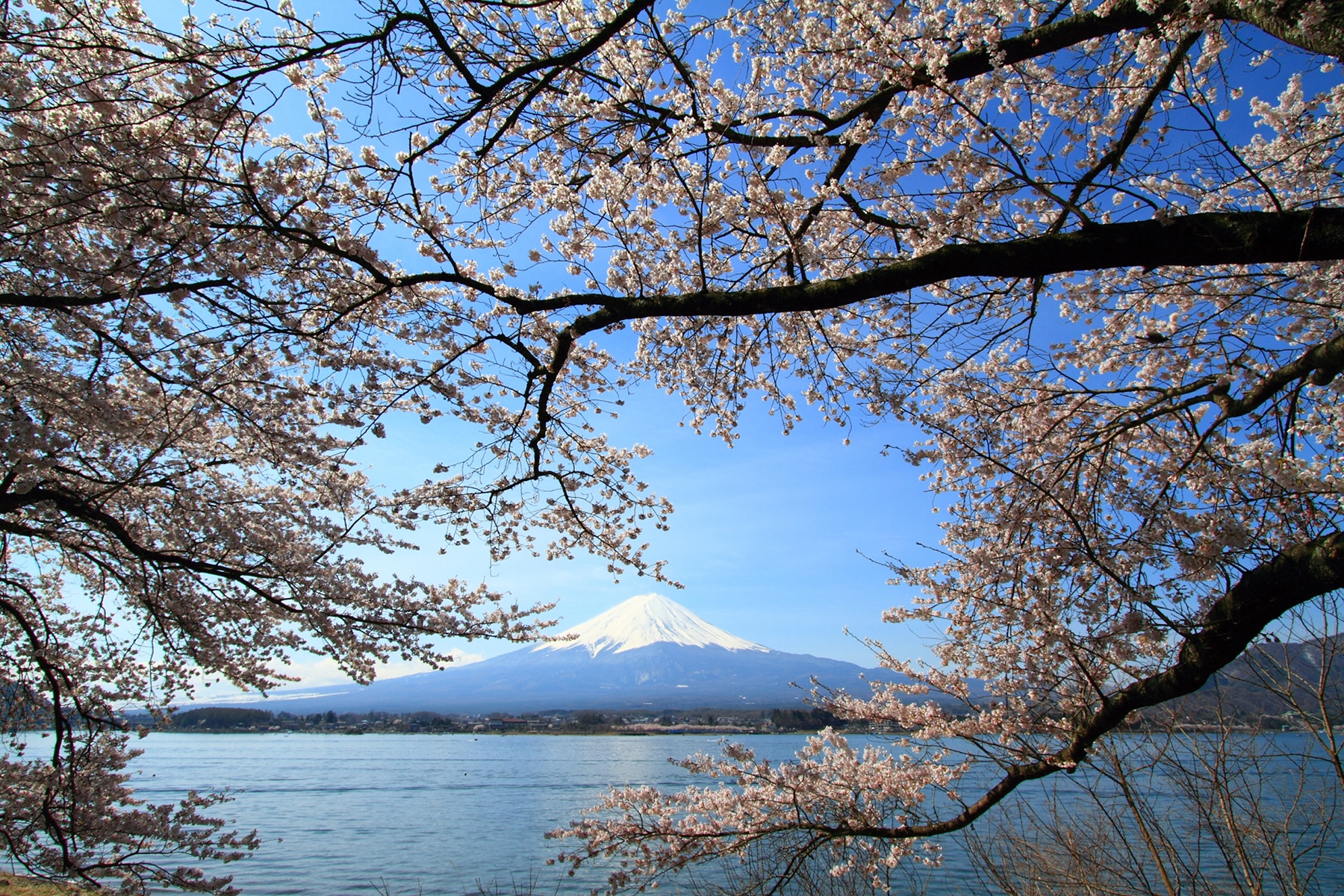 Canon EF-S 10-22mm F3.5-4.5 USM sample photo. Kawaguchi lake photography