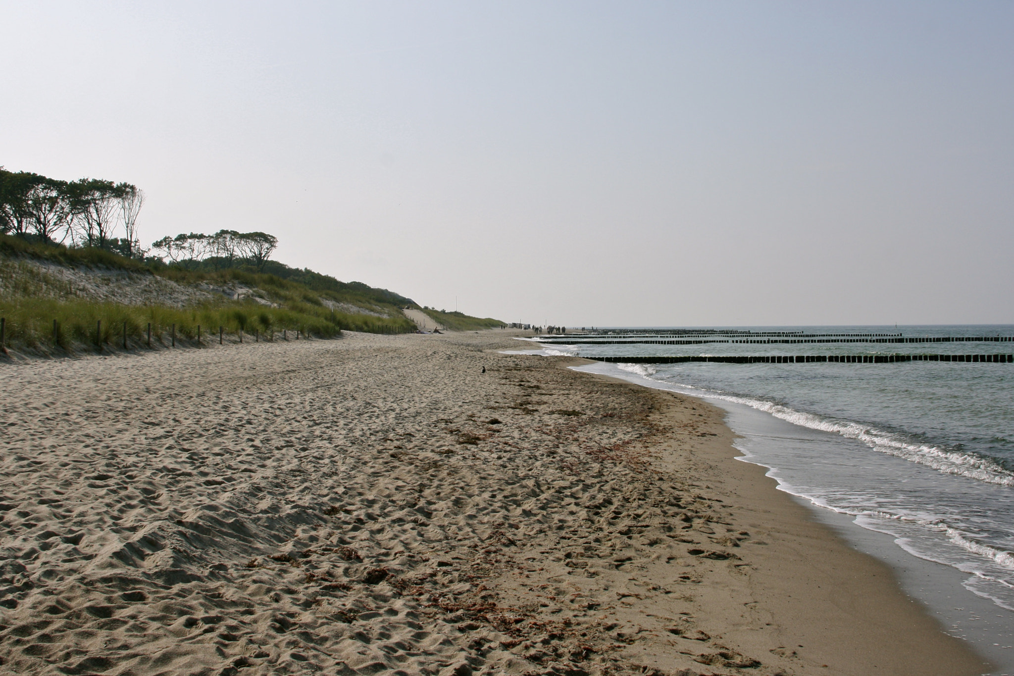 Canon EF 28-135mm F3.5-5.6 IS USM sample photo. Ostsee - graal-müritz photography