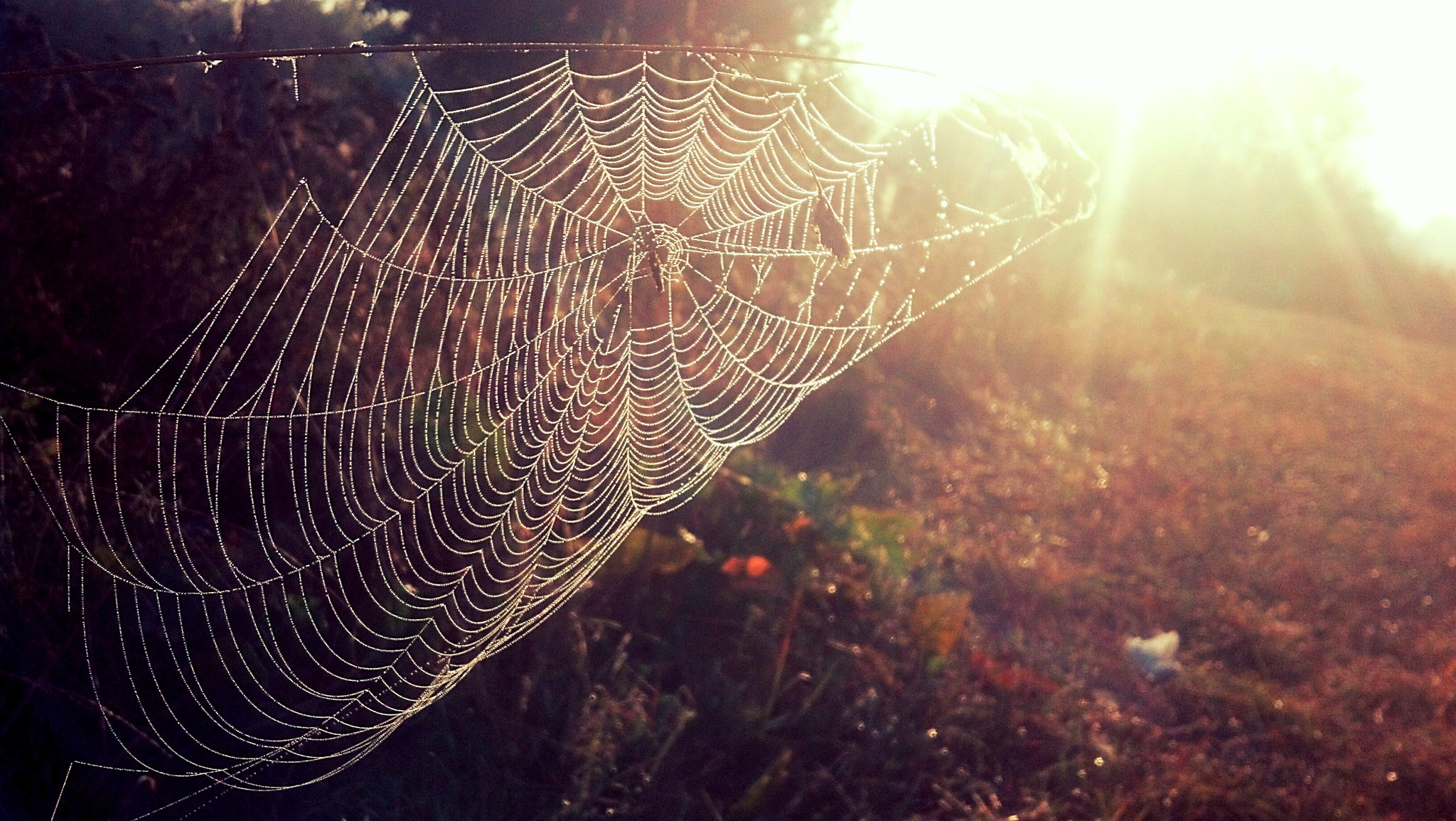 Motorola DROID RAZR sample photo
