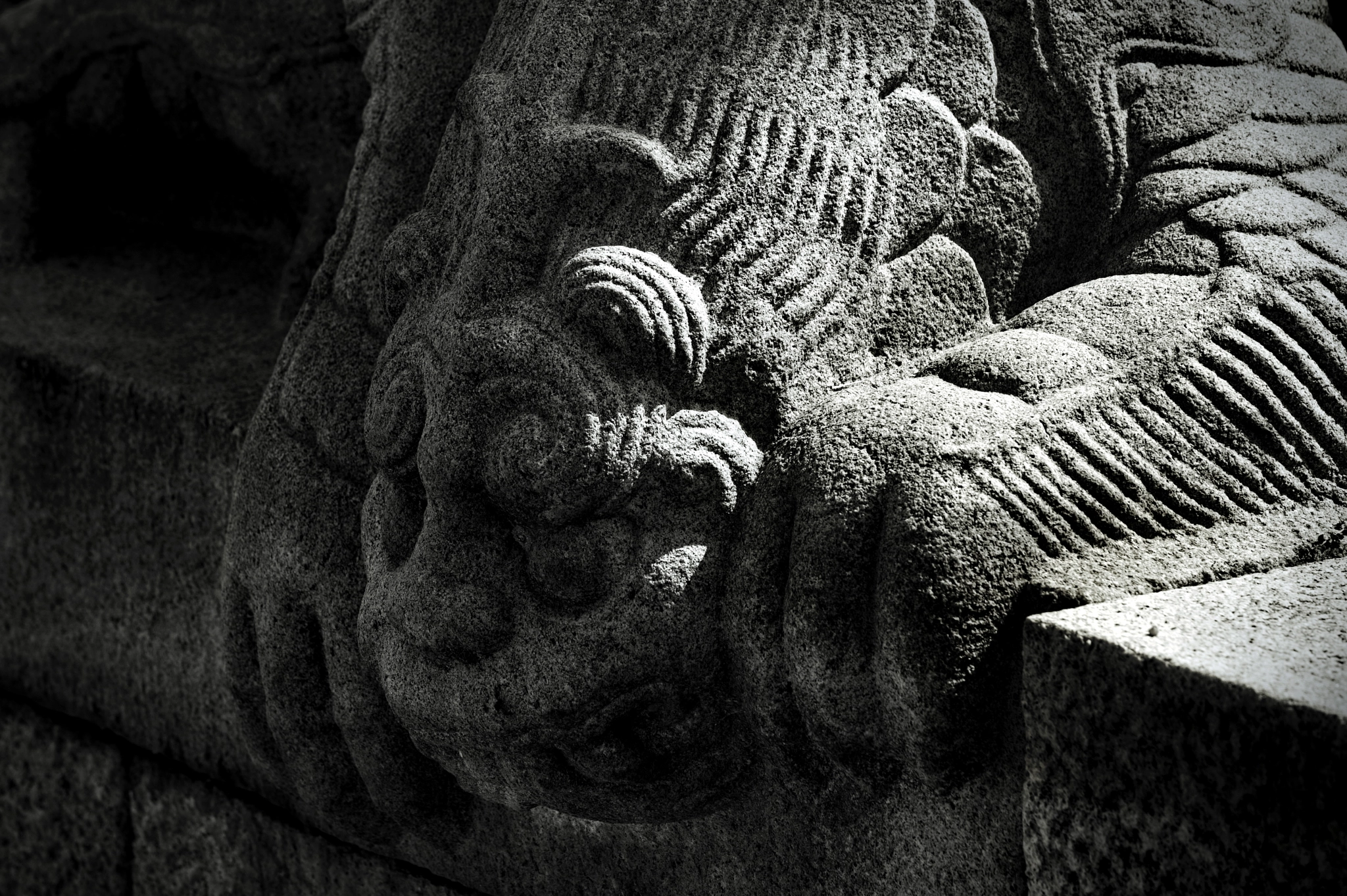 Nikon Df sample photo. Guard of gyeongbokgung palace photography