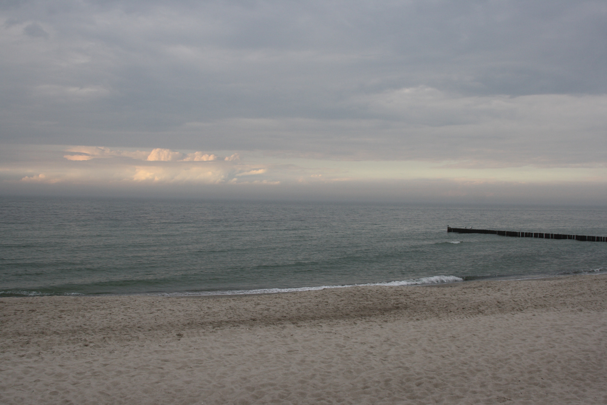 Canon EF 28-135mm F3.5-5.6 IS USM sample photo. Ostsee - graal-müritz photography
