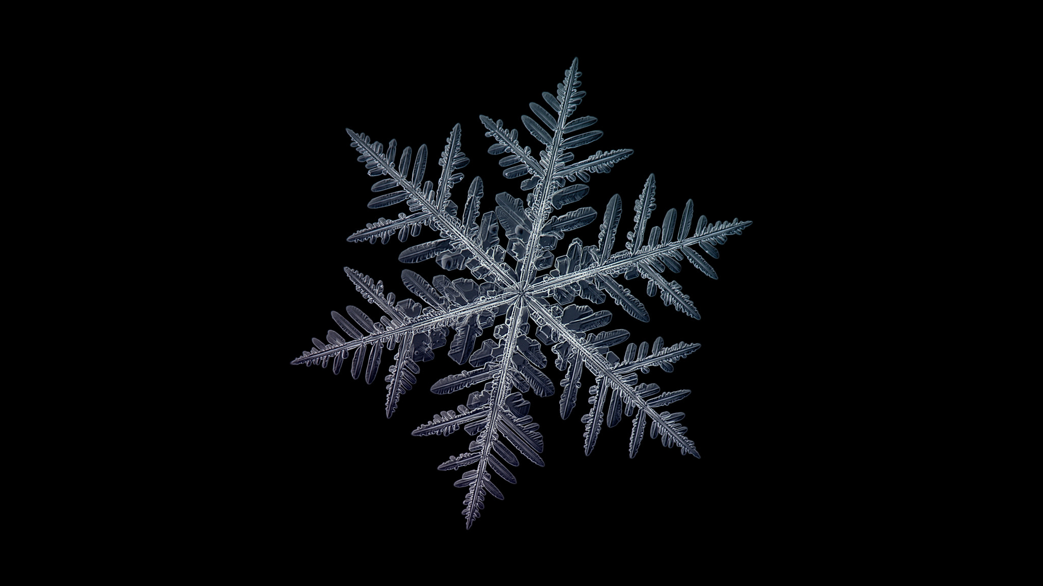 Canon POWERSHOT A650 IS sample photo. Snowflake isolated on black background photography