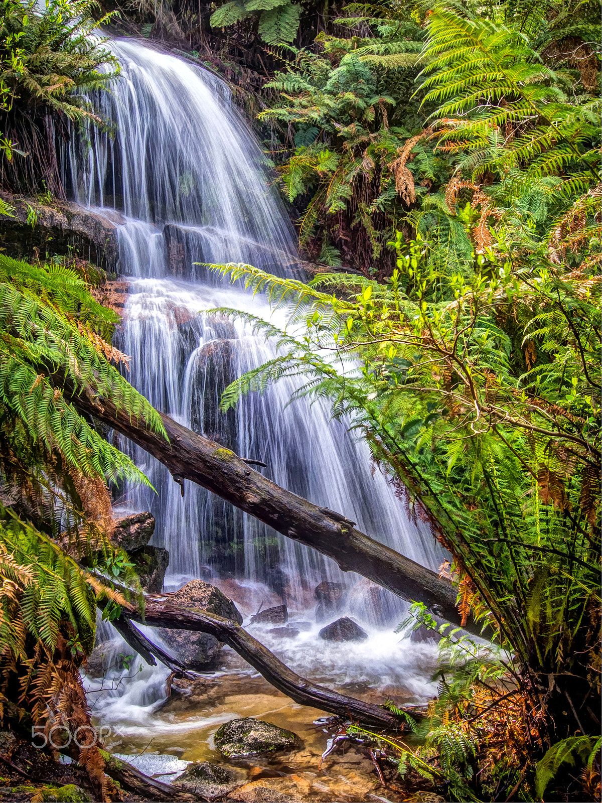 Olympus OM-D E-M5 sample photo. Ferntree falls #2 photography