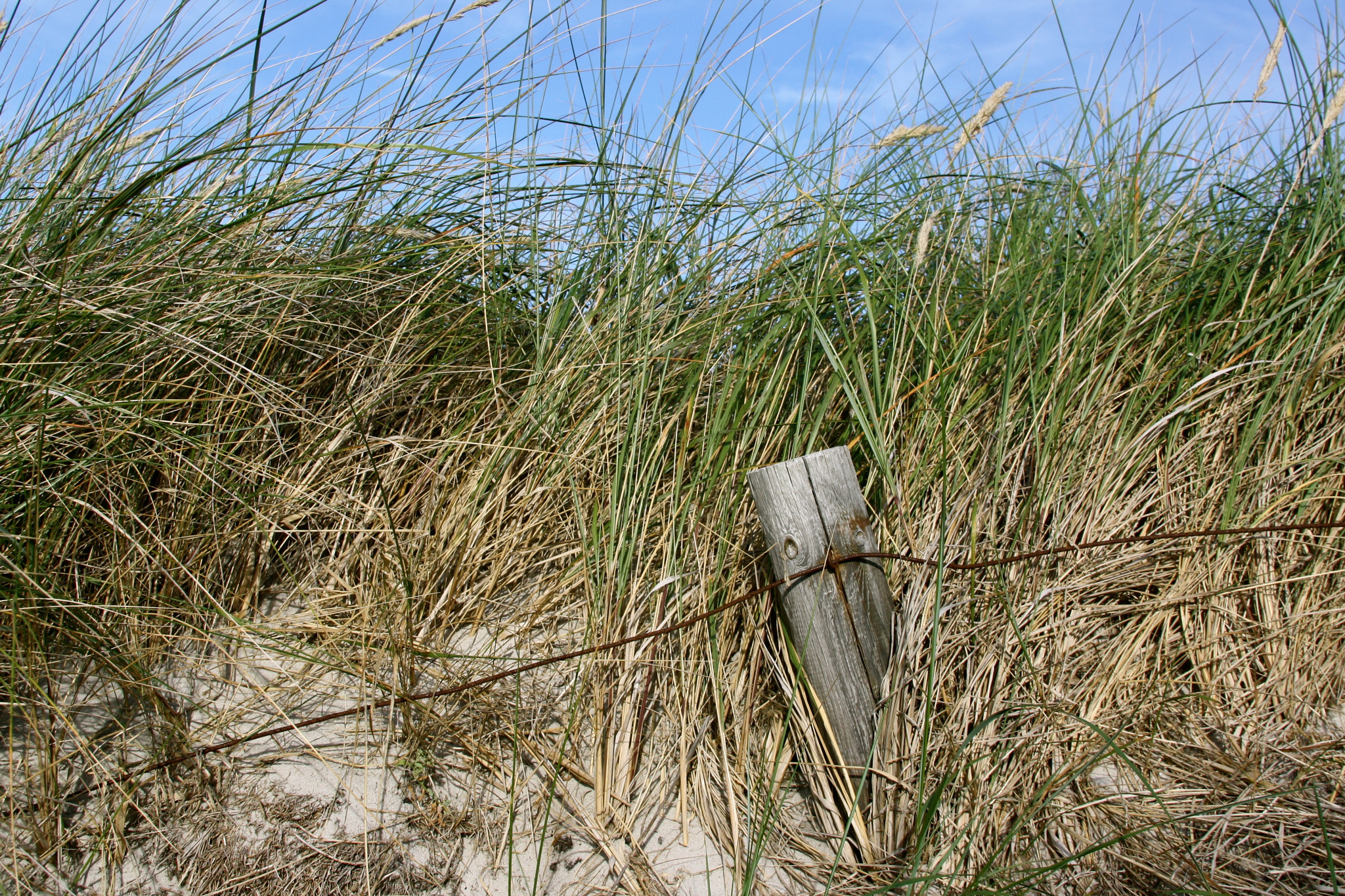 Canon EF 28-135mm F3.5-5.6 IS USM sample photo. Ostsee - graal-müritz photography