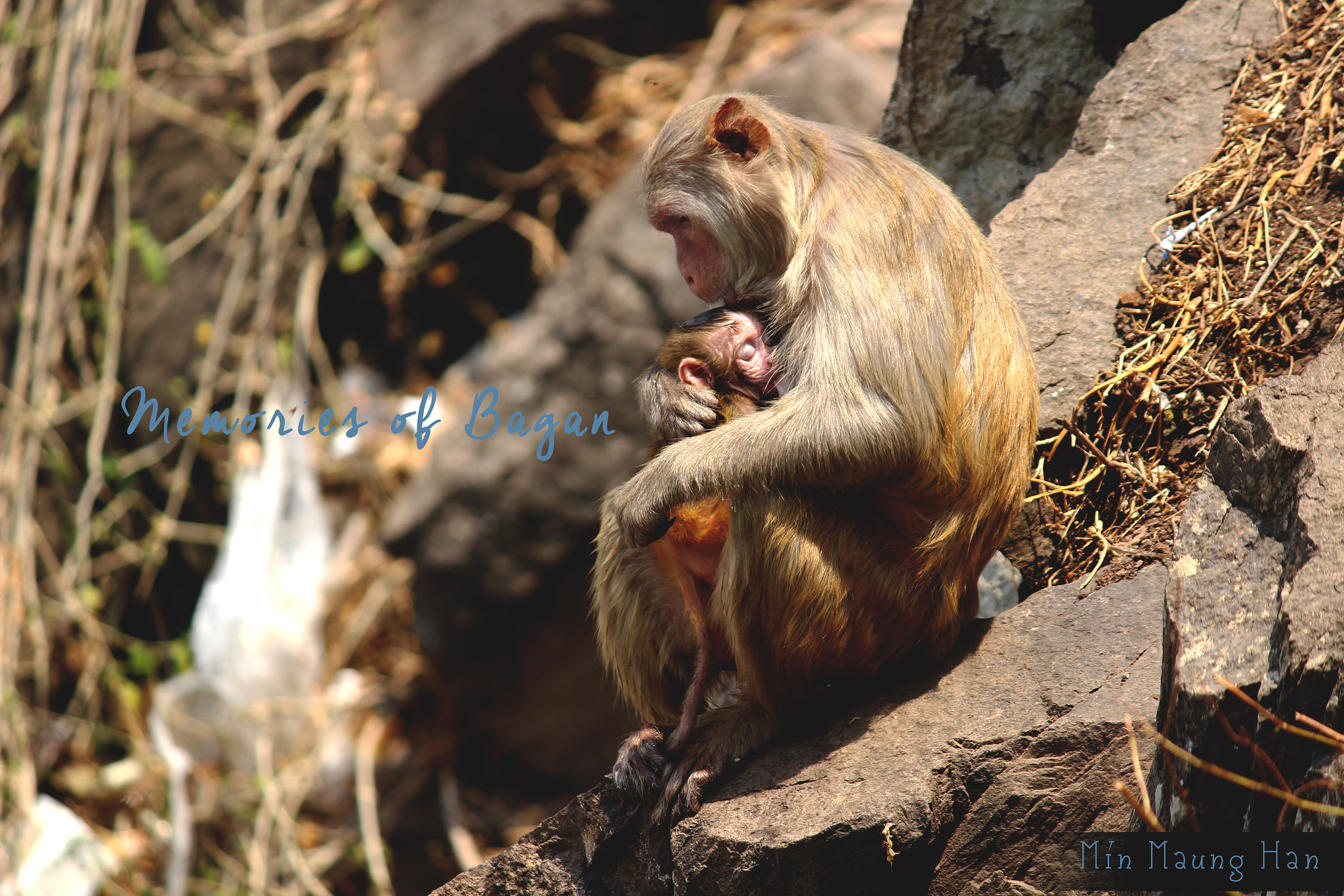 Canon EOS 100D (EOS Rebel SL1 / EOS Kiss X7) sample photo. A mother`s love photography