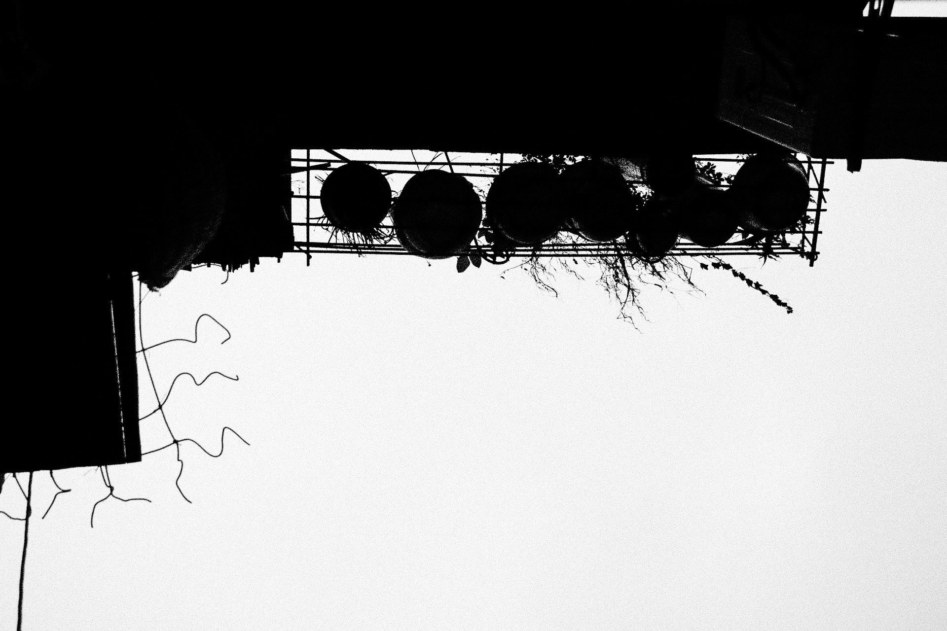 Canon EOS 760D (EOS Rebel T6s / EOS 8000D) sample photo. The flowerpots in the sky photography